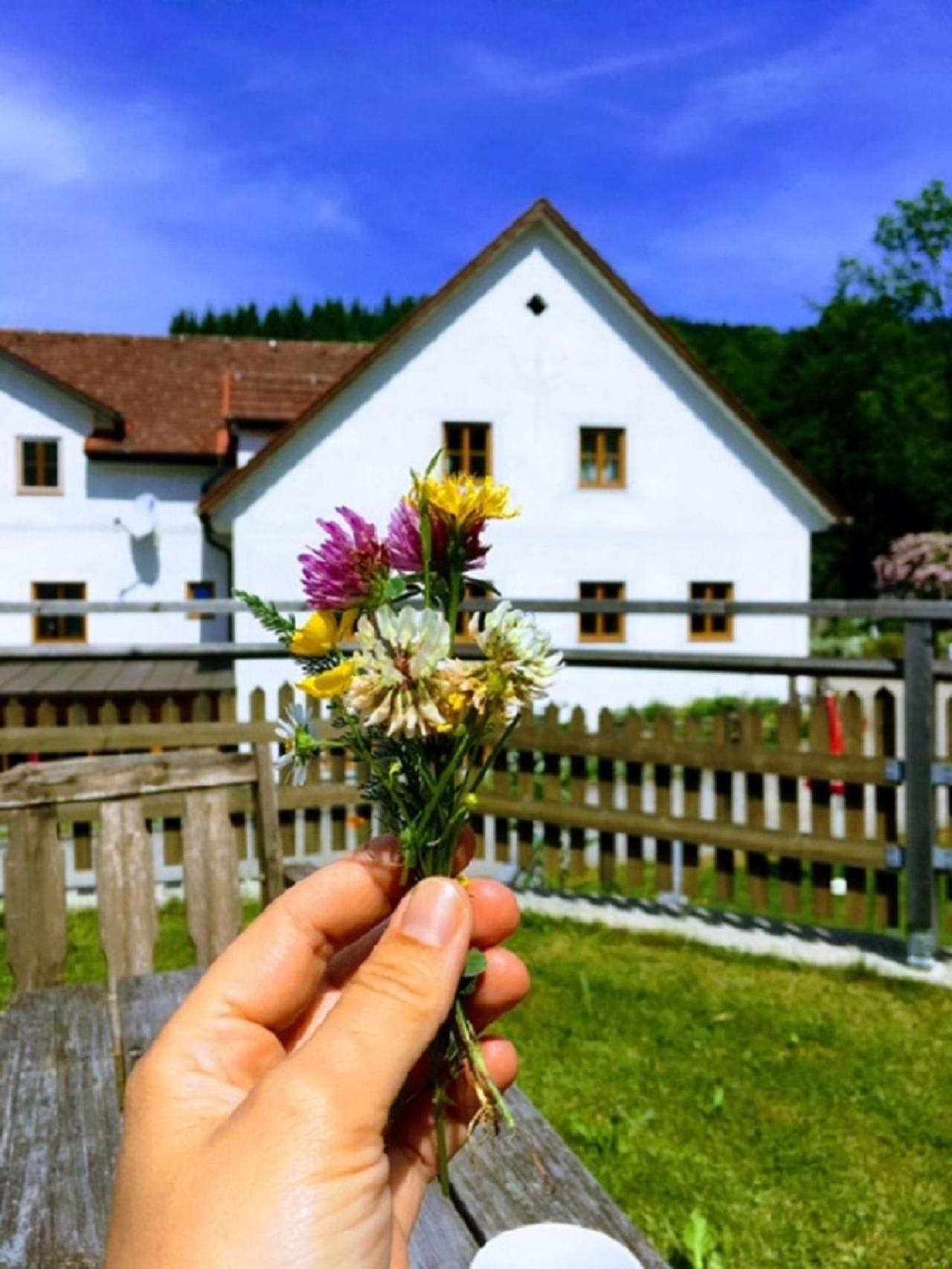 Einkehrhof Poggau