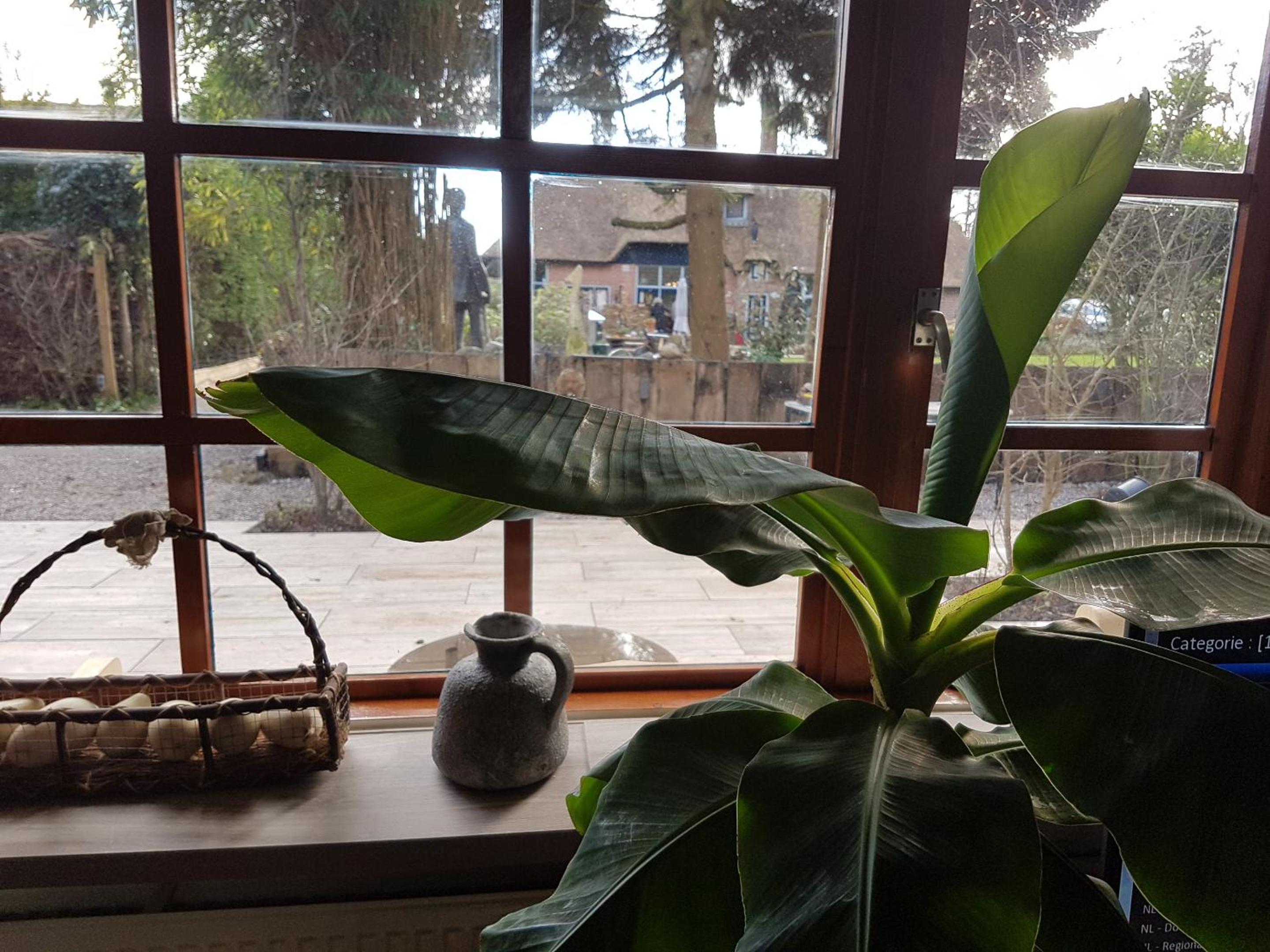 Photo 31