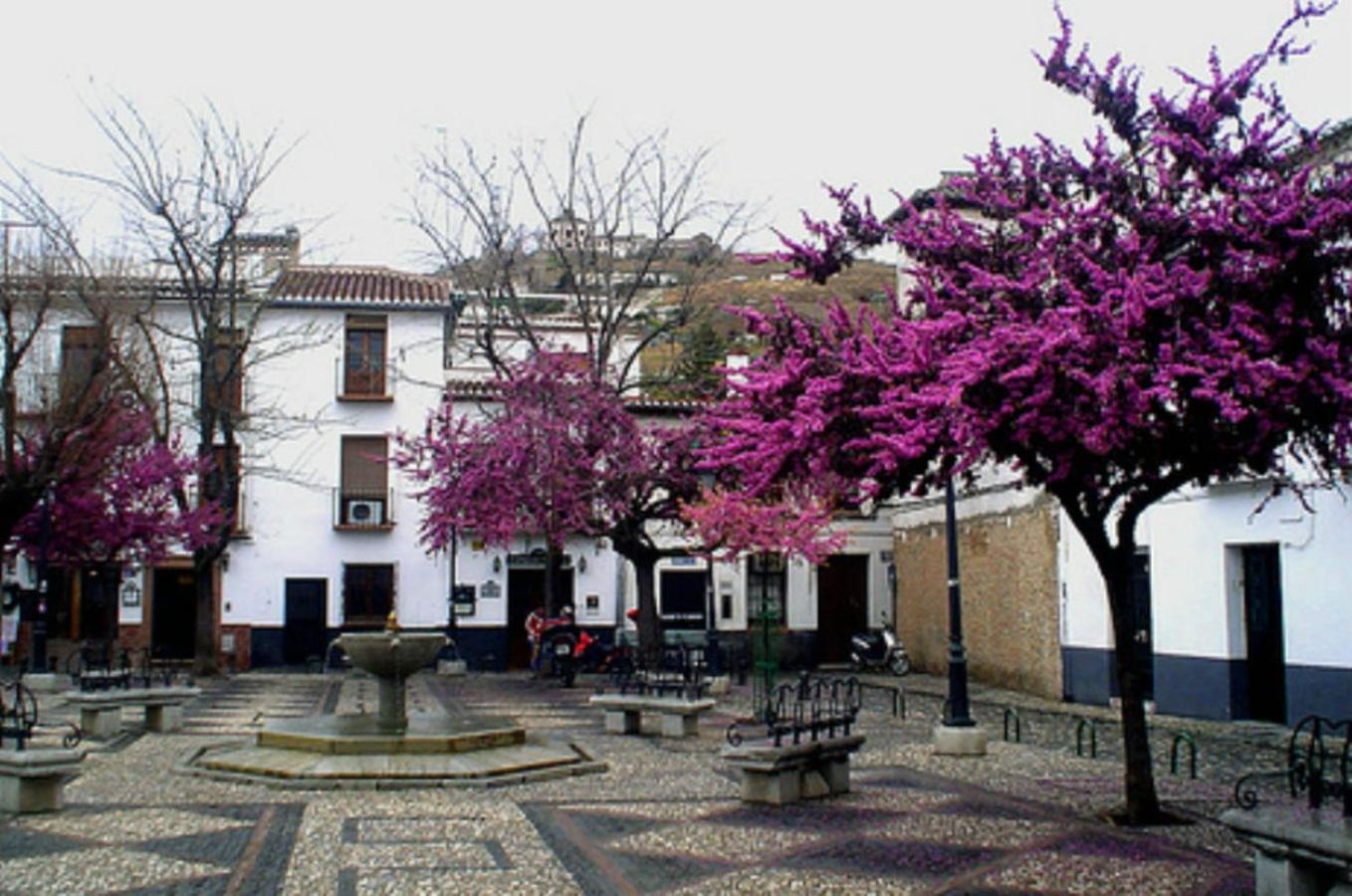 Casa del Beso view 5