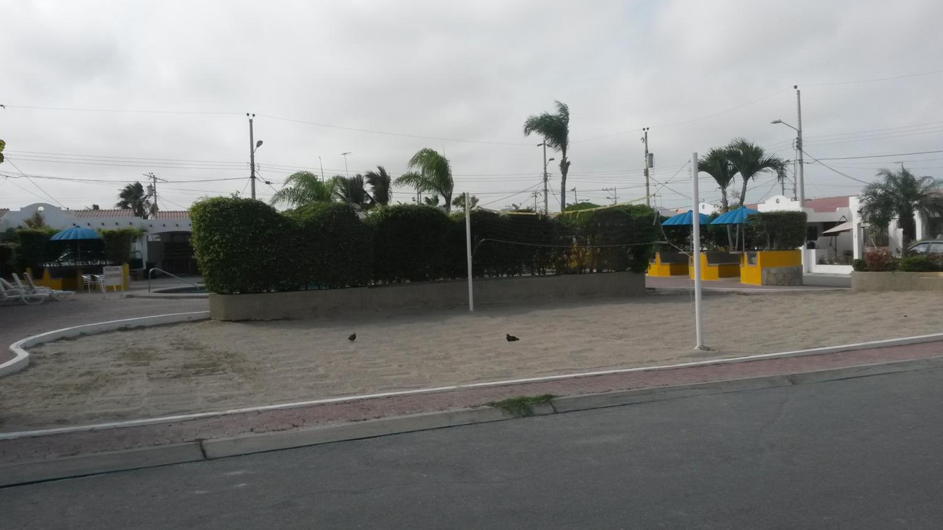 Photo 21