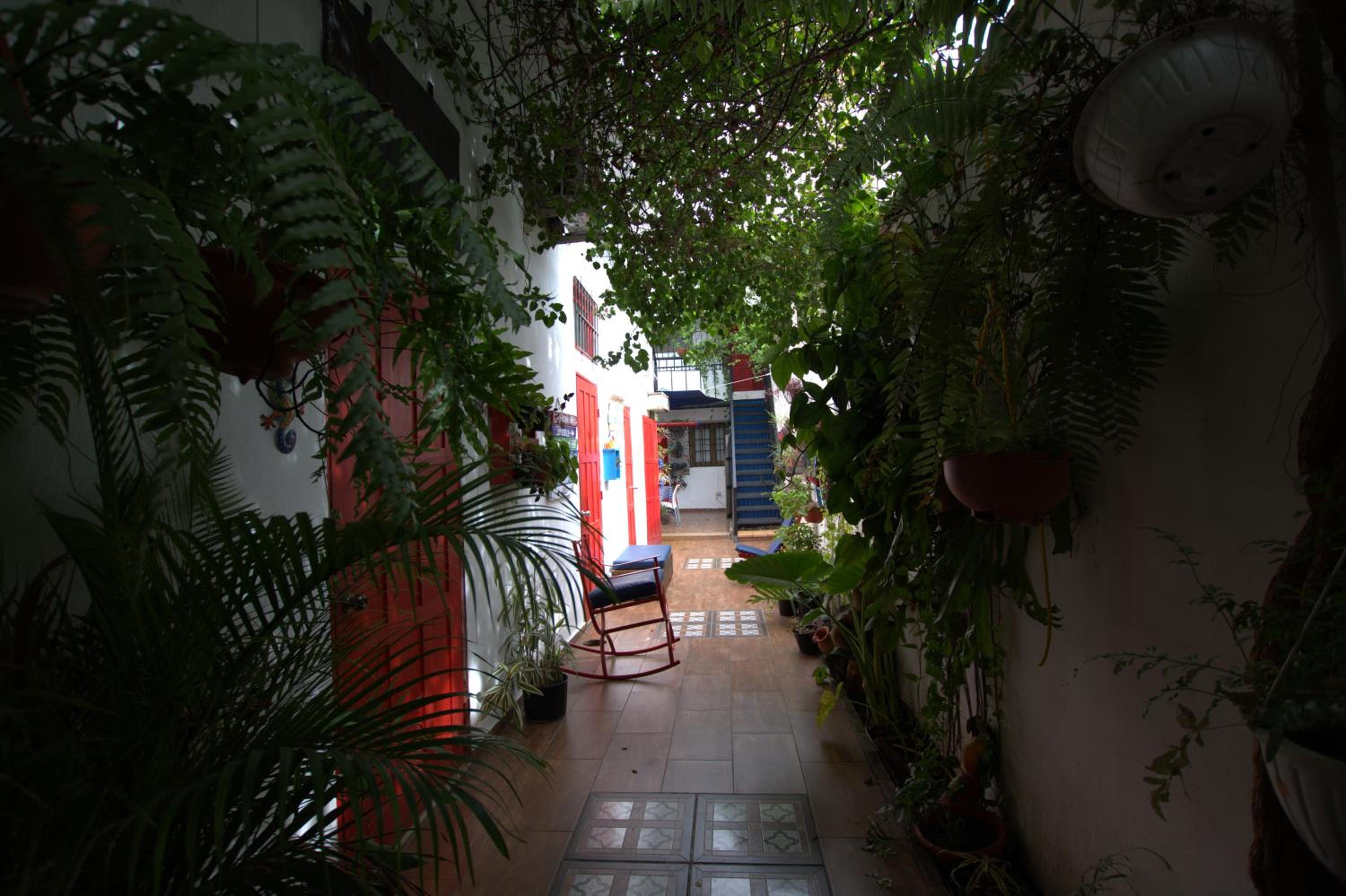 Photo 26