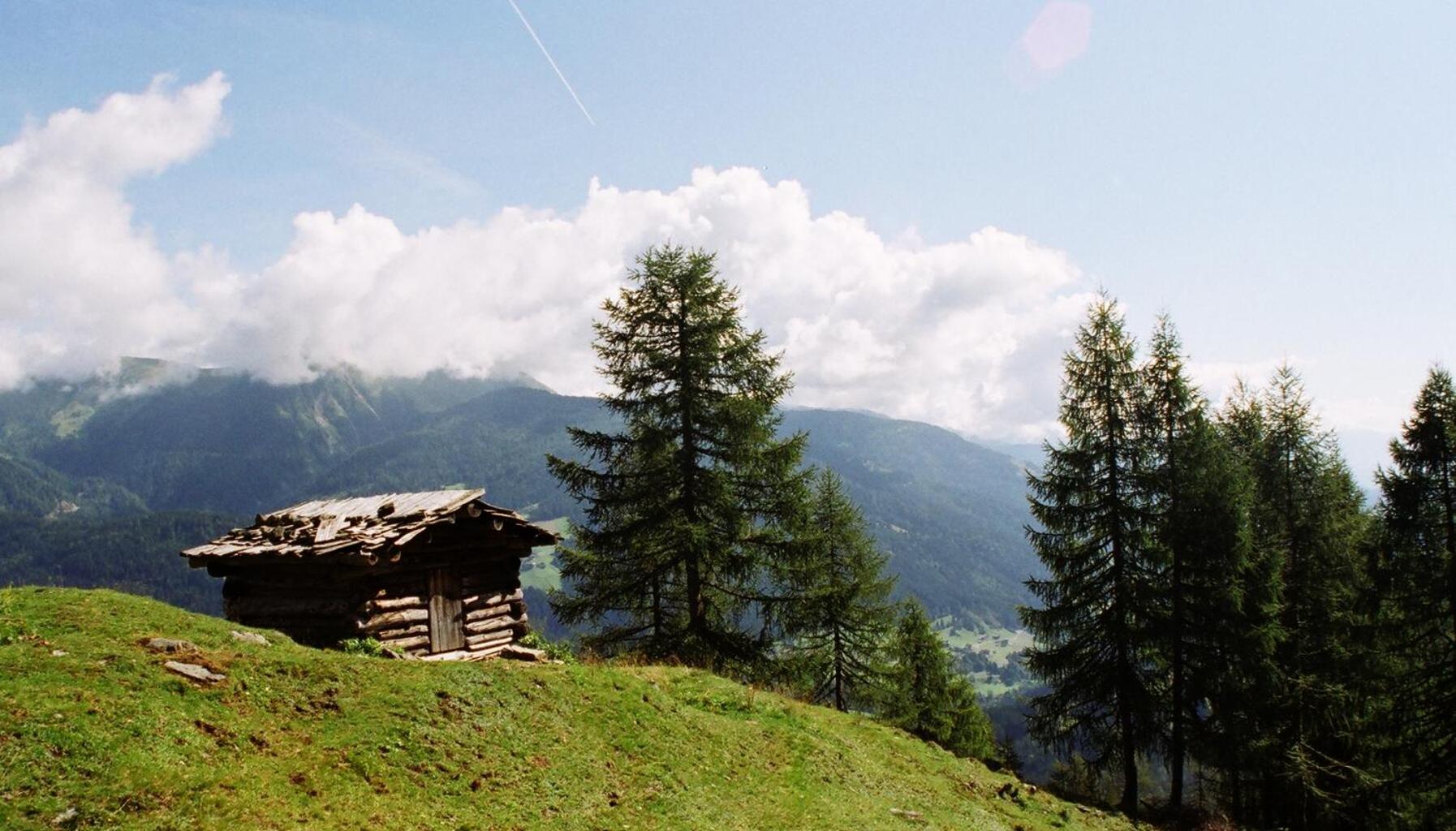 BIO-Bergbauernhof Ederhias