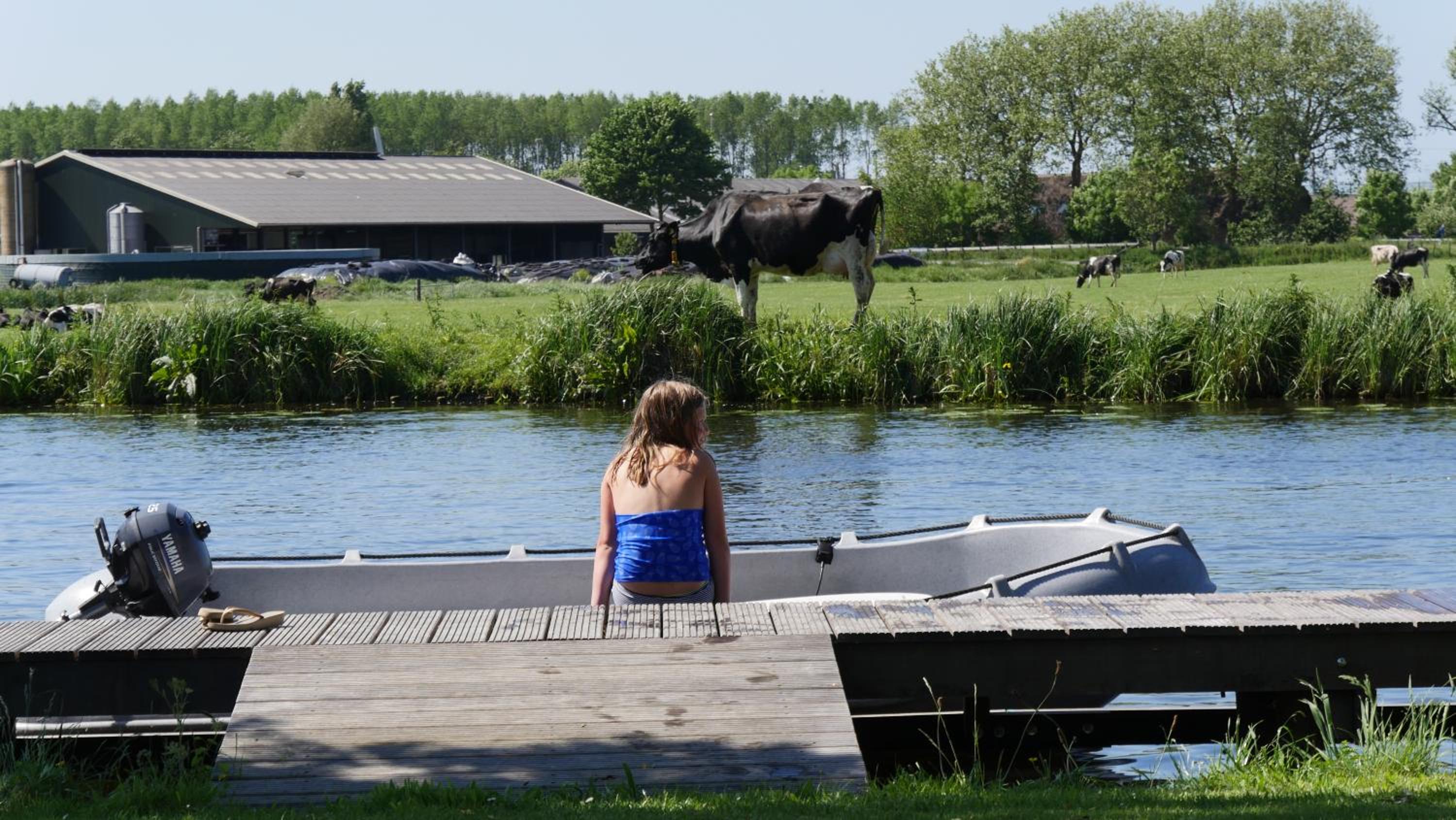 Groeten uit Hoogmade - rural cottage