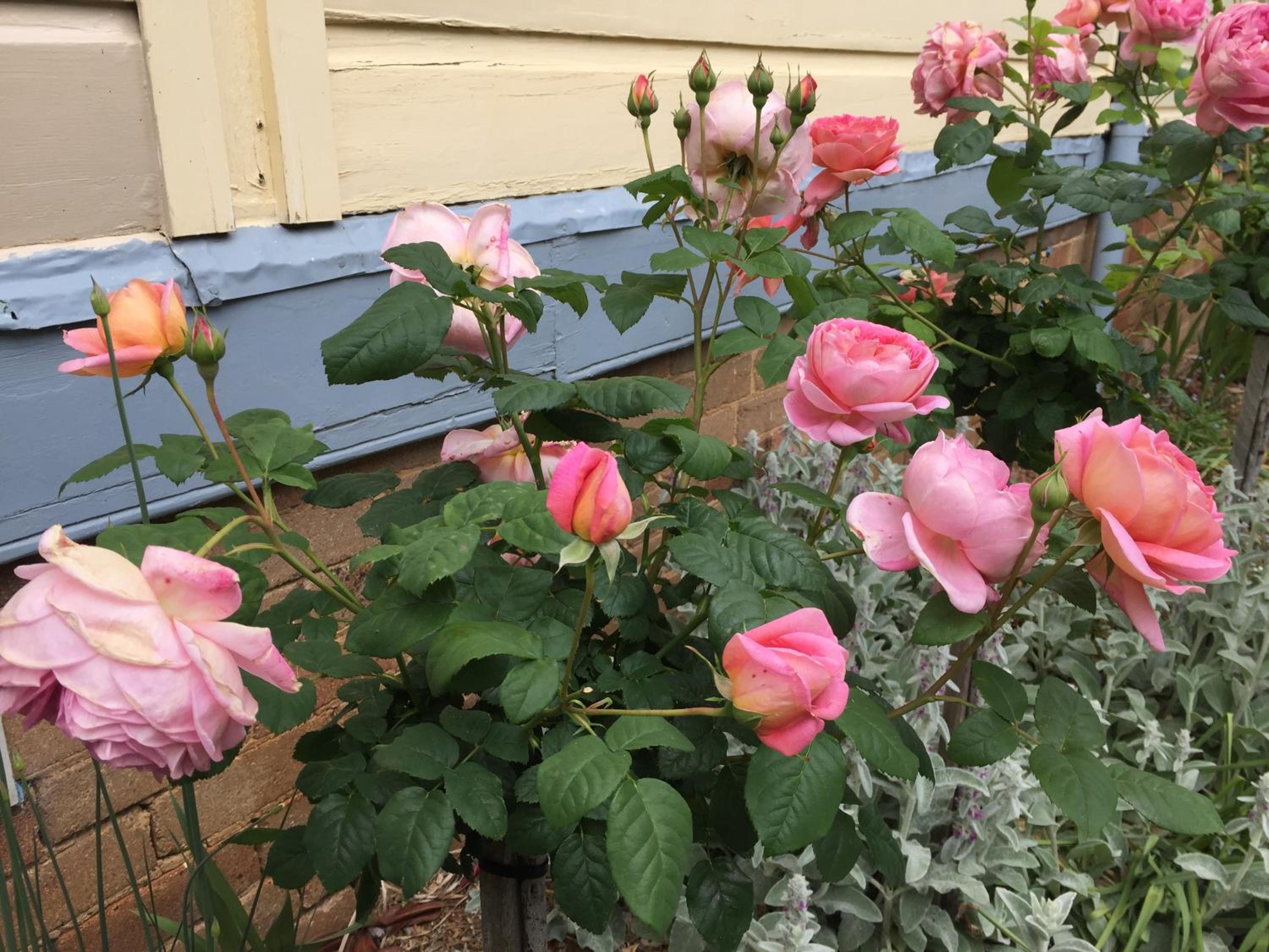 Kurrara Historic Guest House