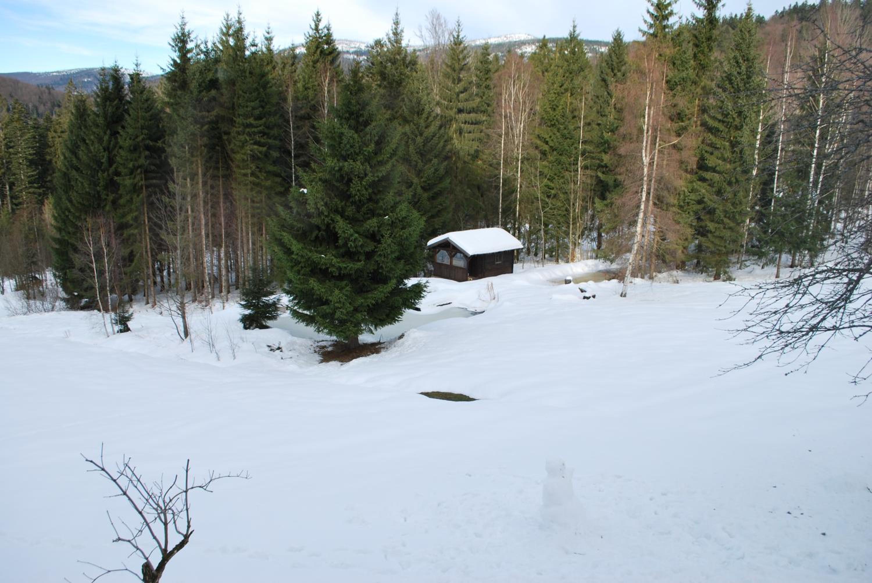 Ferienhaus 