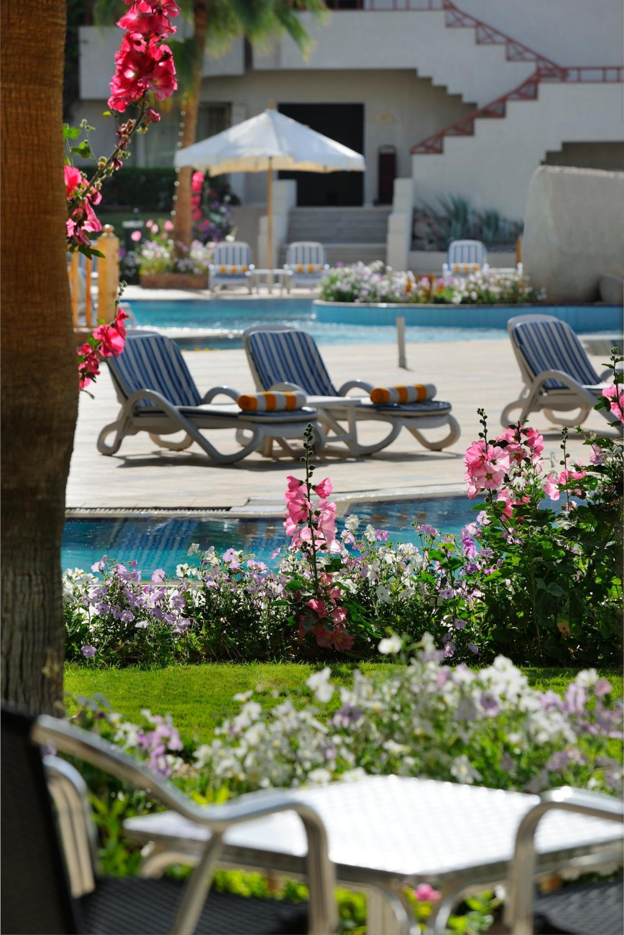 Naama Bay Promenade Beach Resort Managed By Accor — photo 70