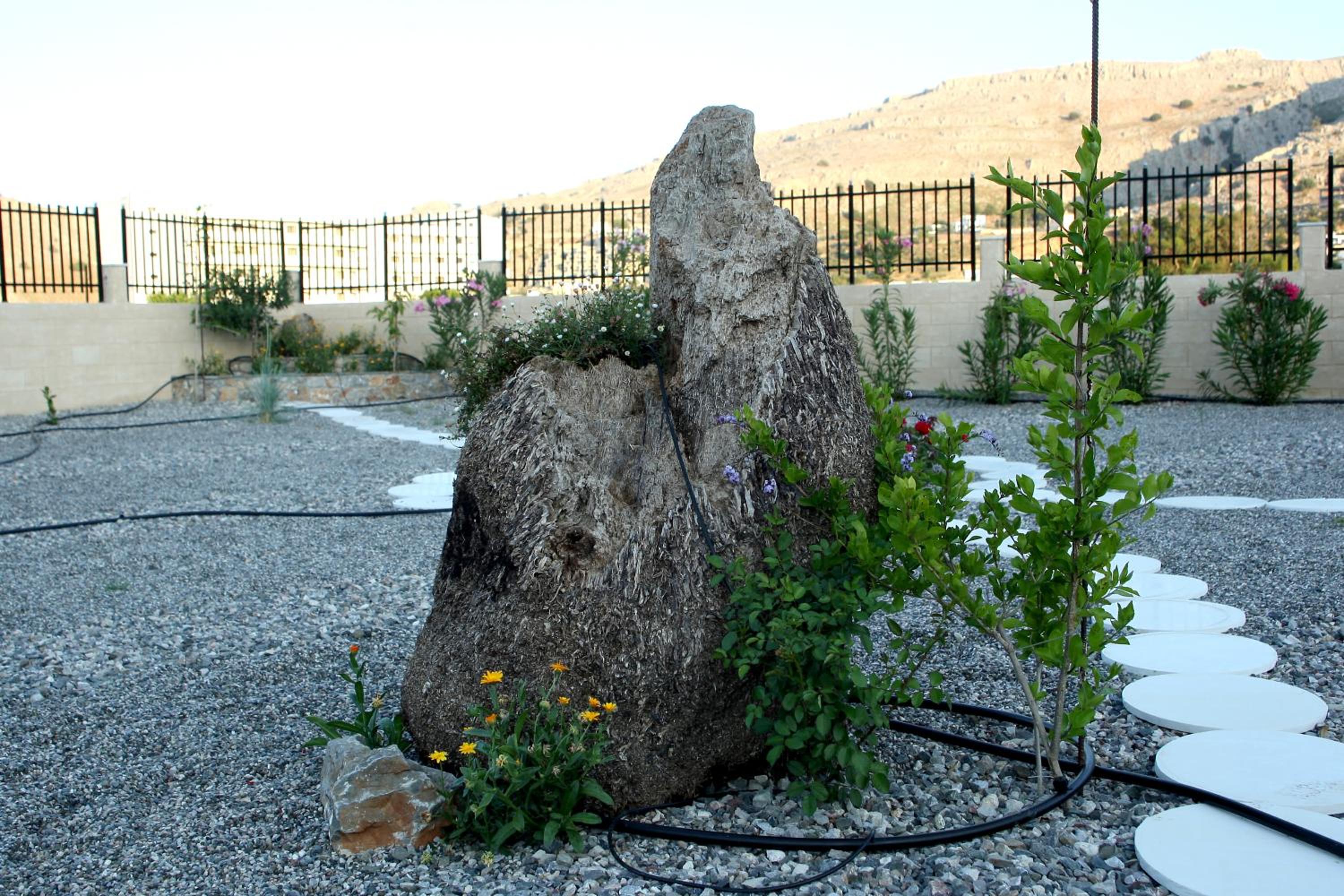 Photo 23