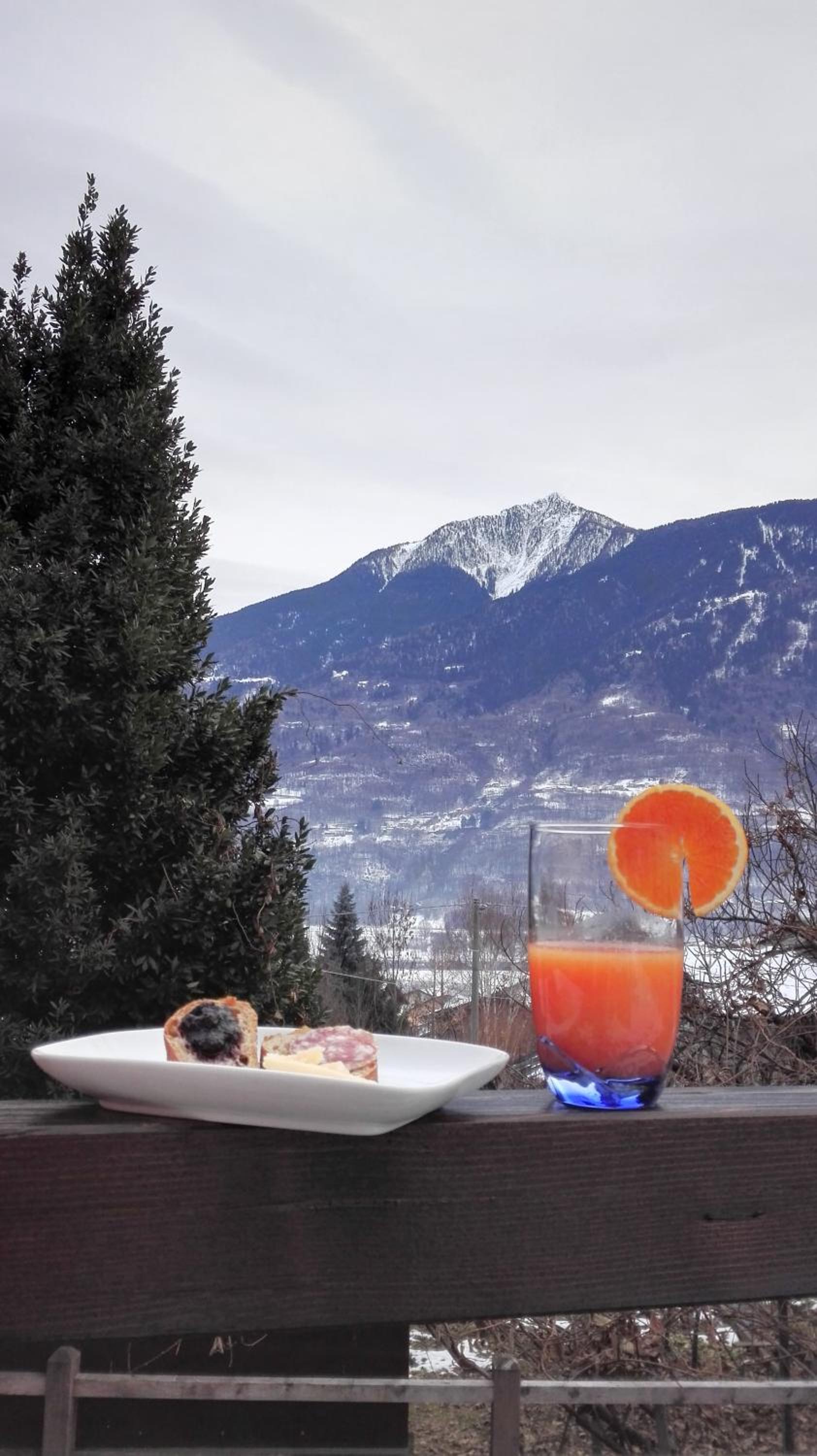 Il Vigneto Rooms & Breakfast - Valtellina Panoramic View