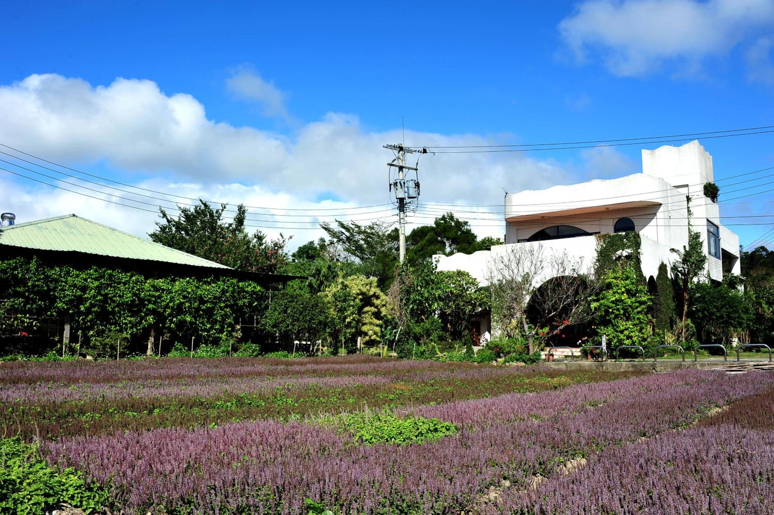 Tuscany Garden B&B