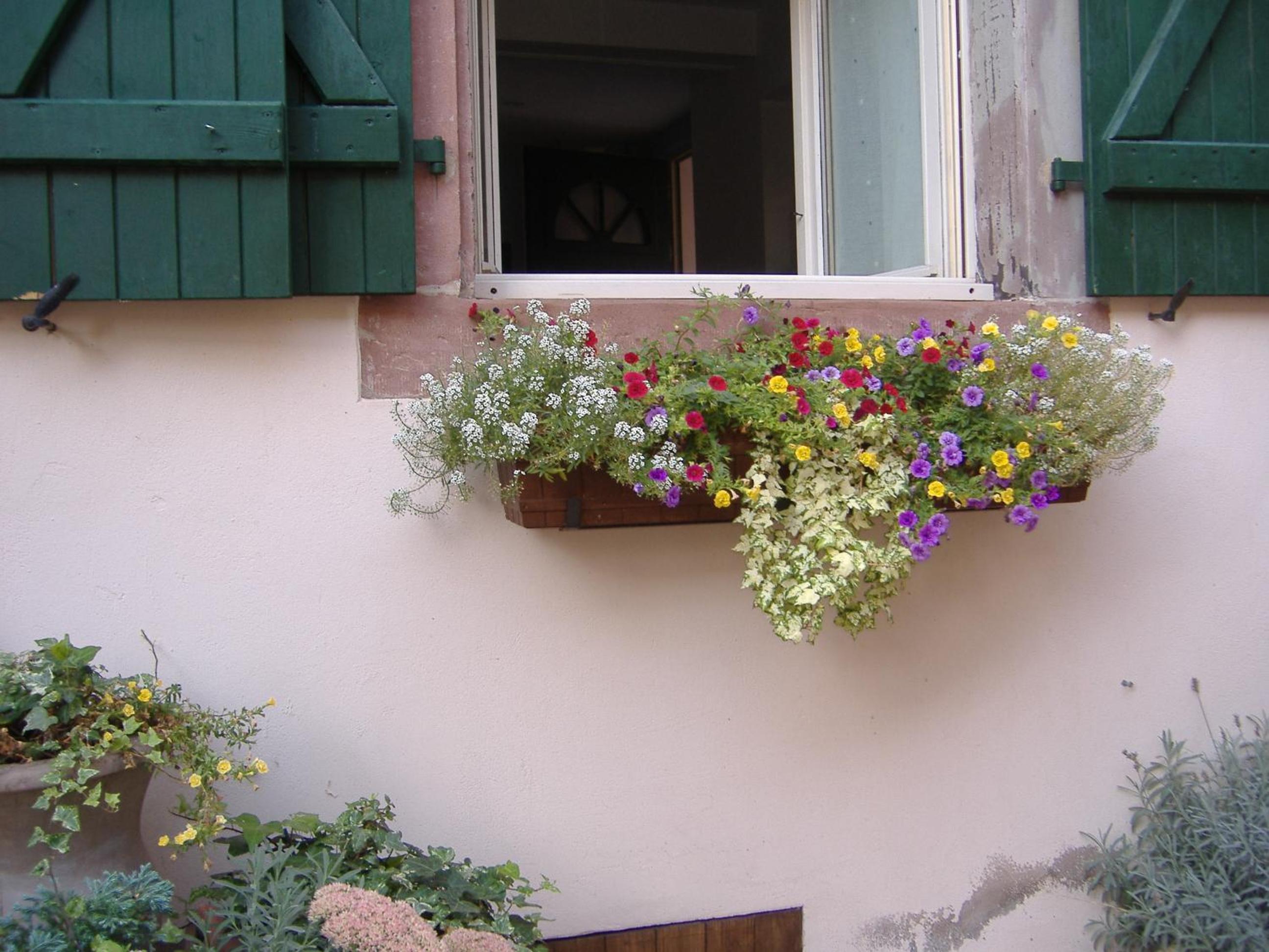 charmant petit appartement en Alsace view 2