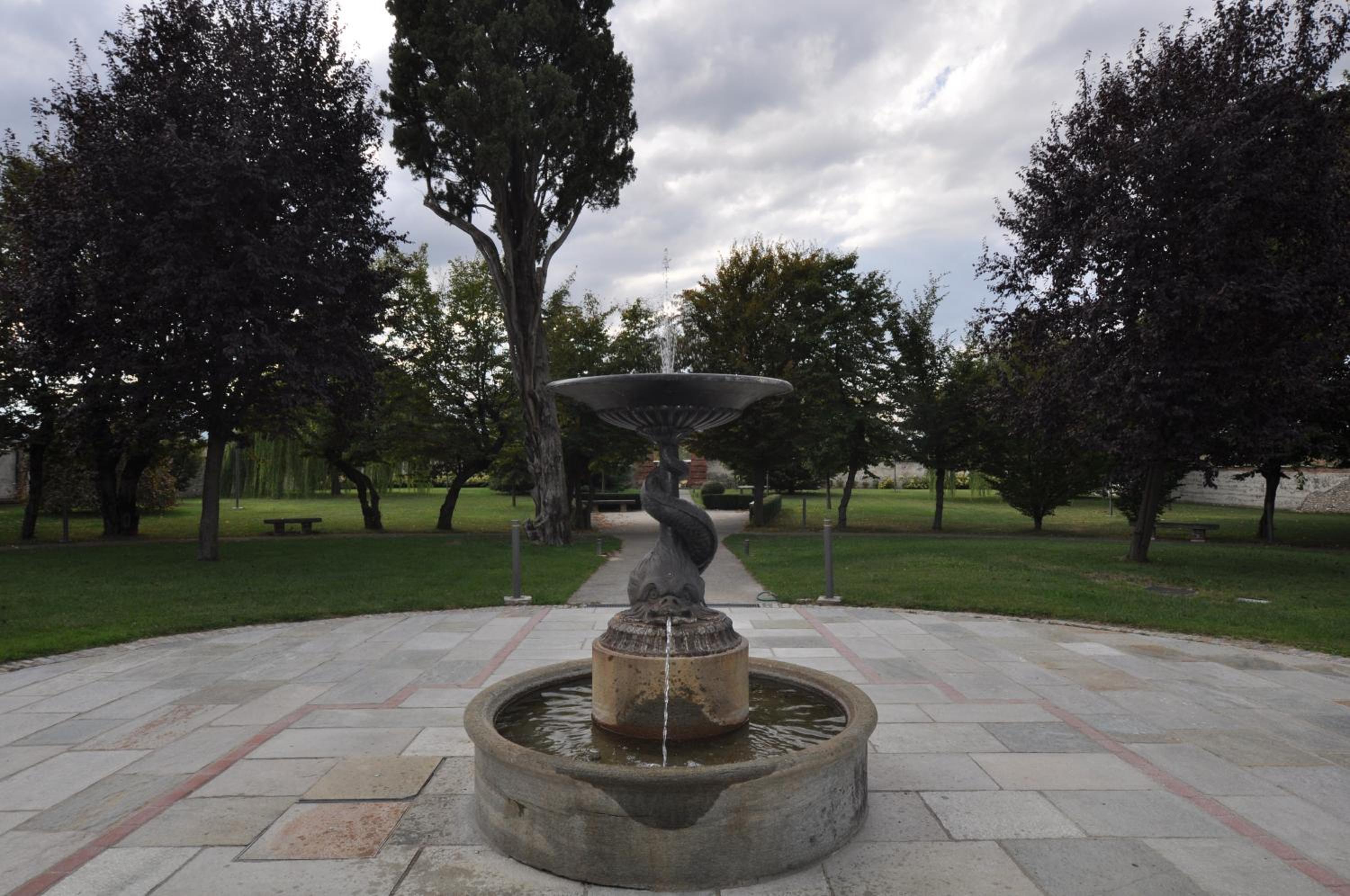 Photo 25