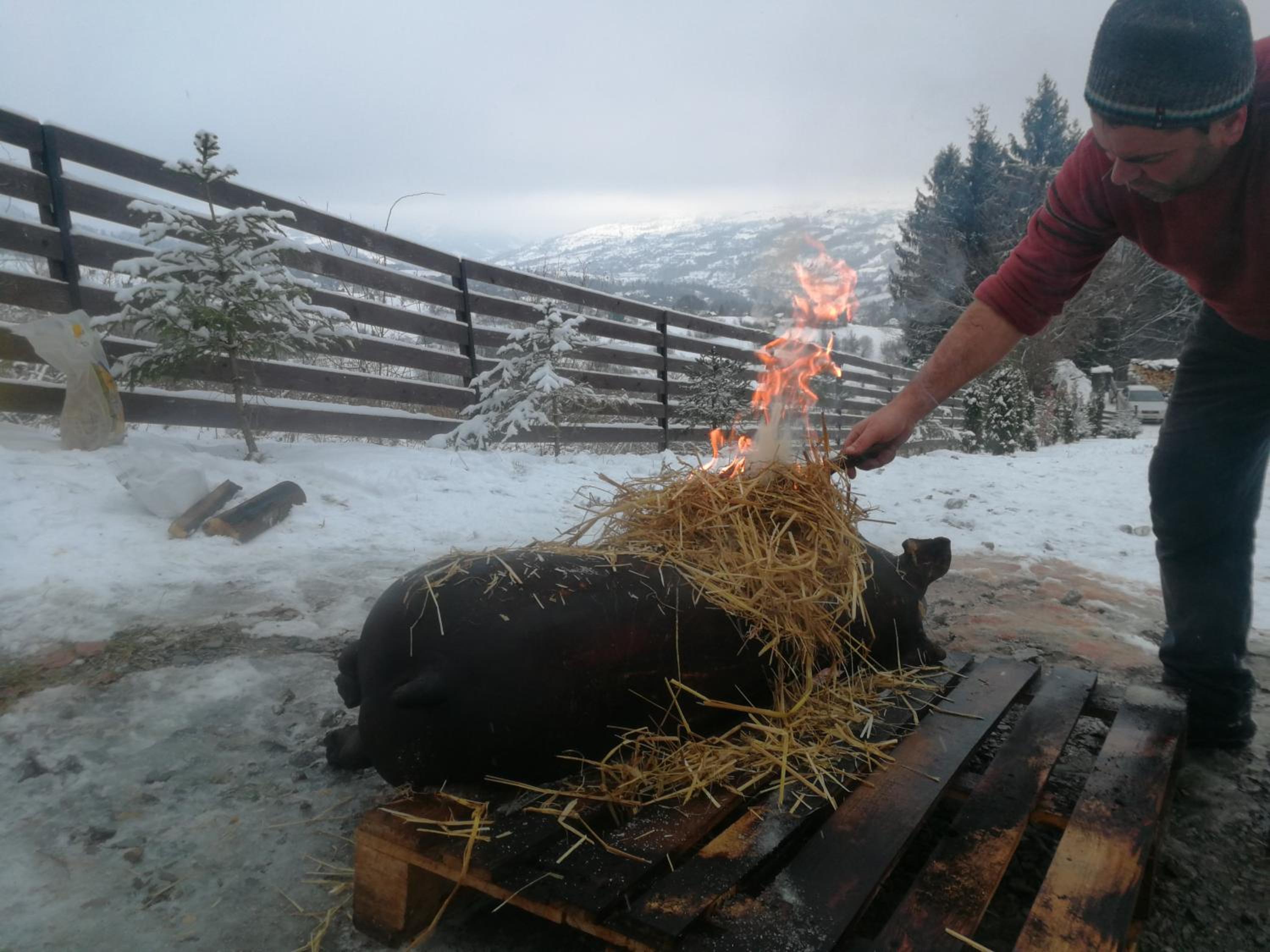 Photo 140