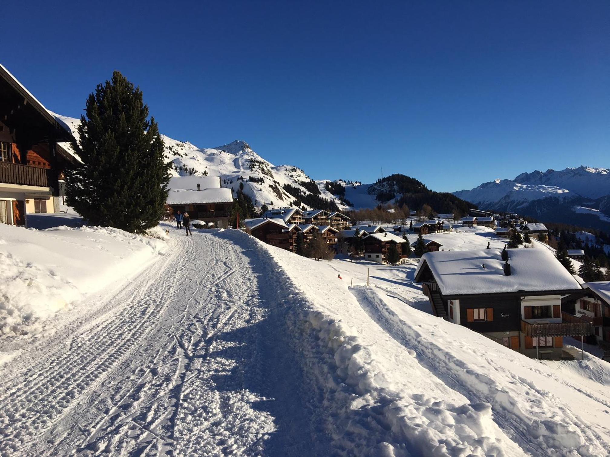 Almenrausch