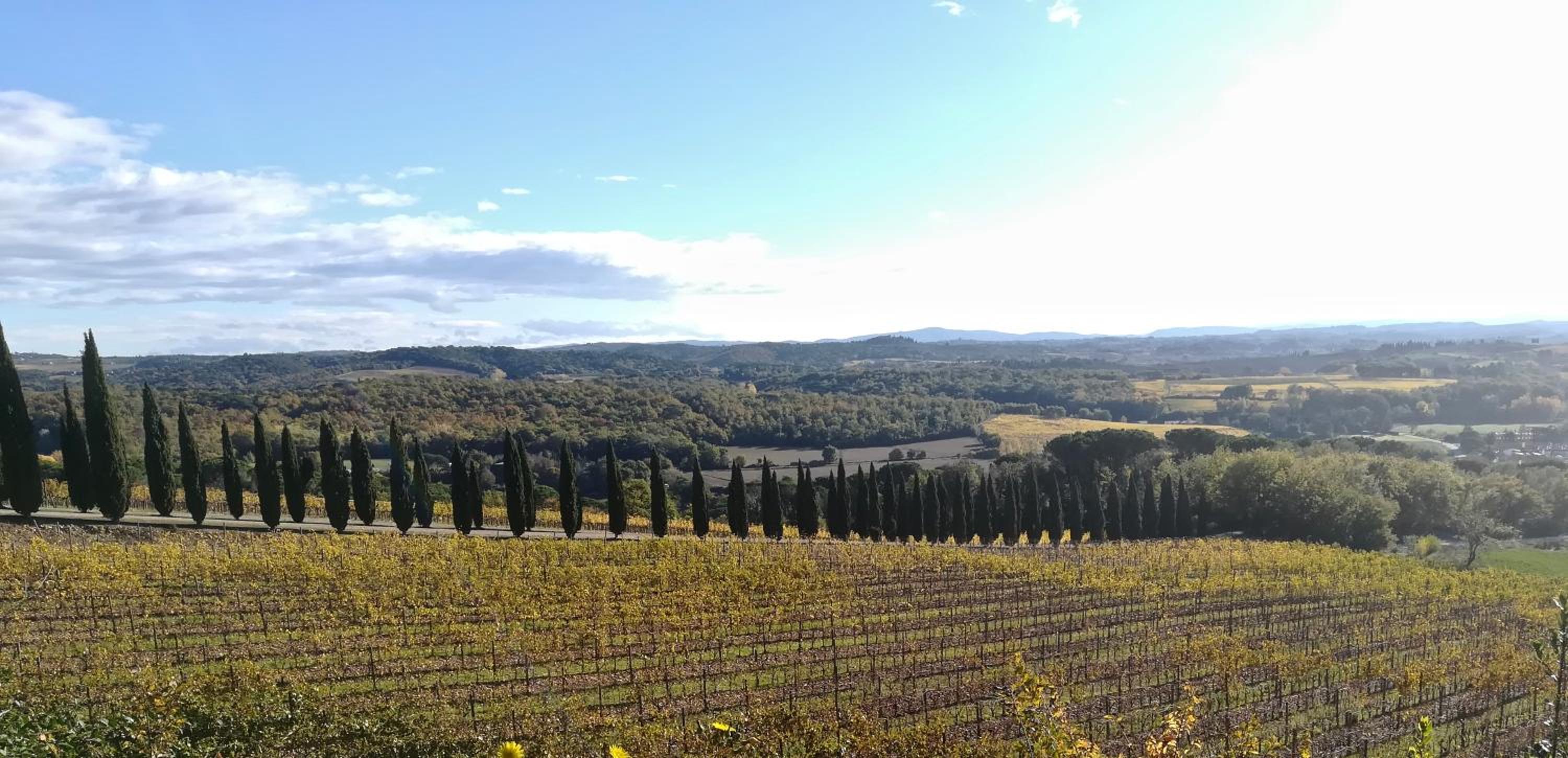 Borgo Argiano