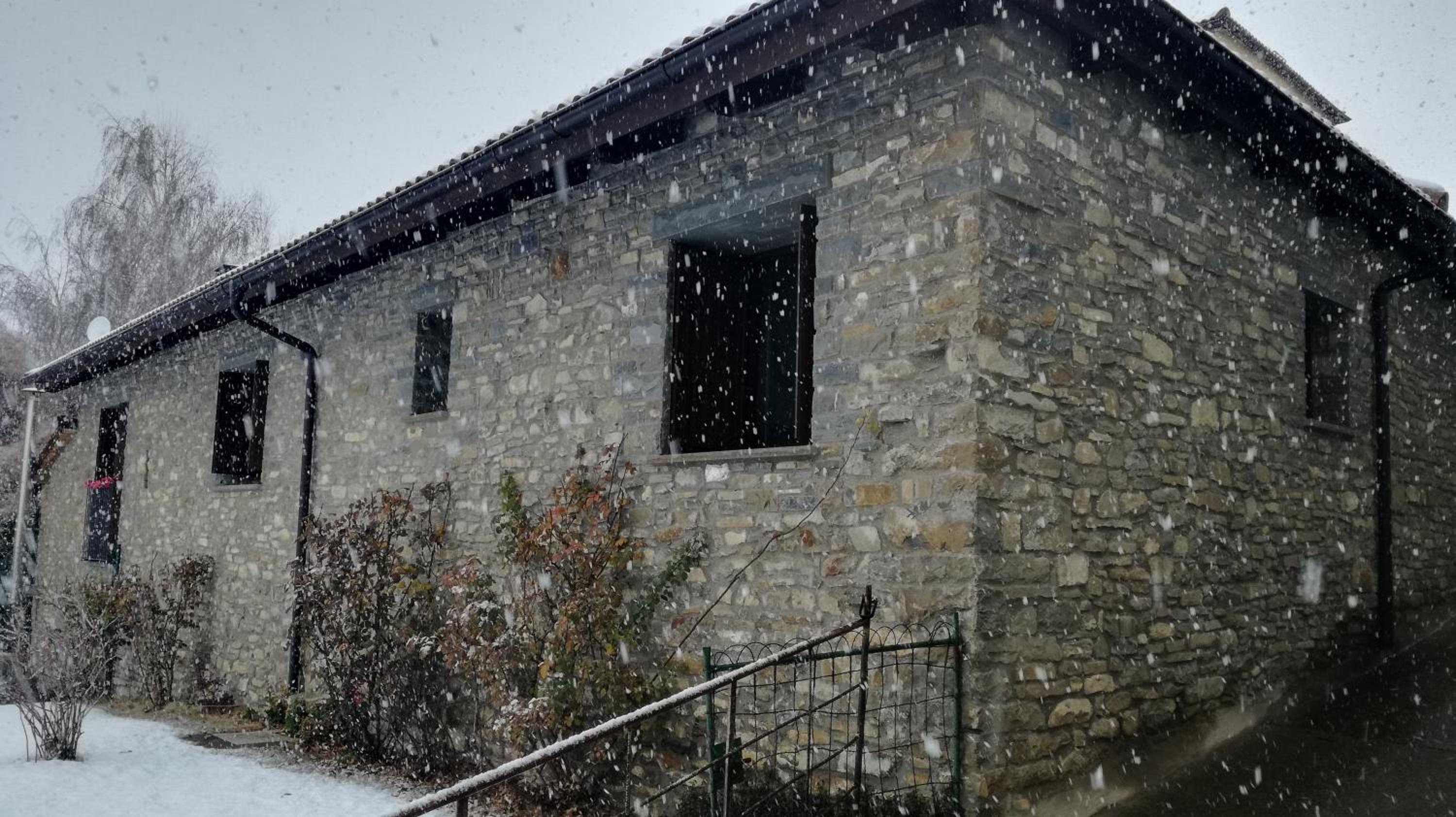 O Zierzo