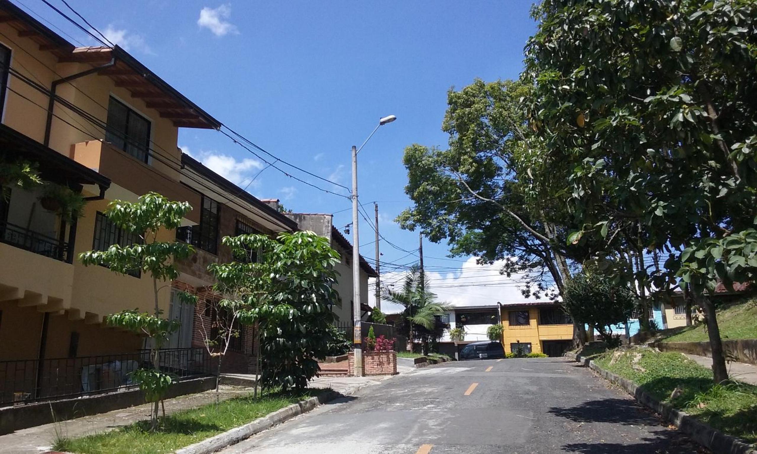 Photo 44