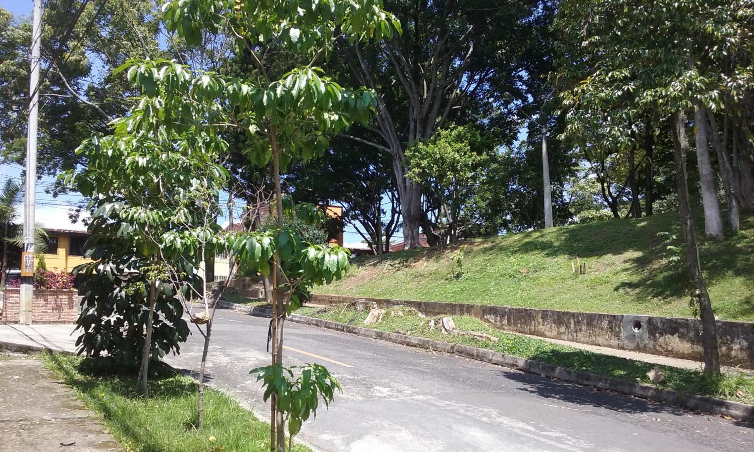 Photo 45