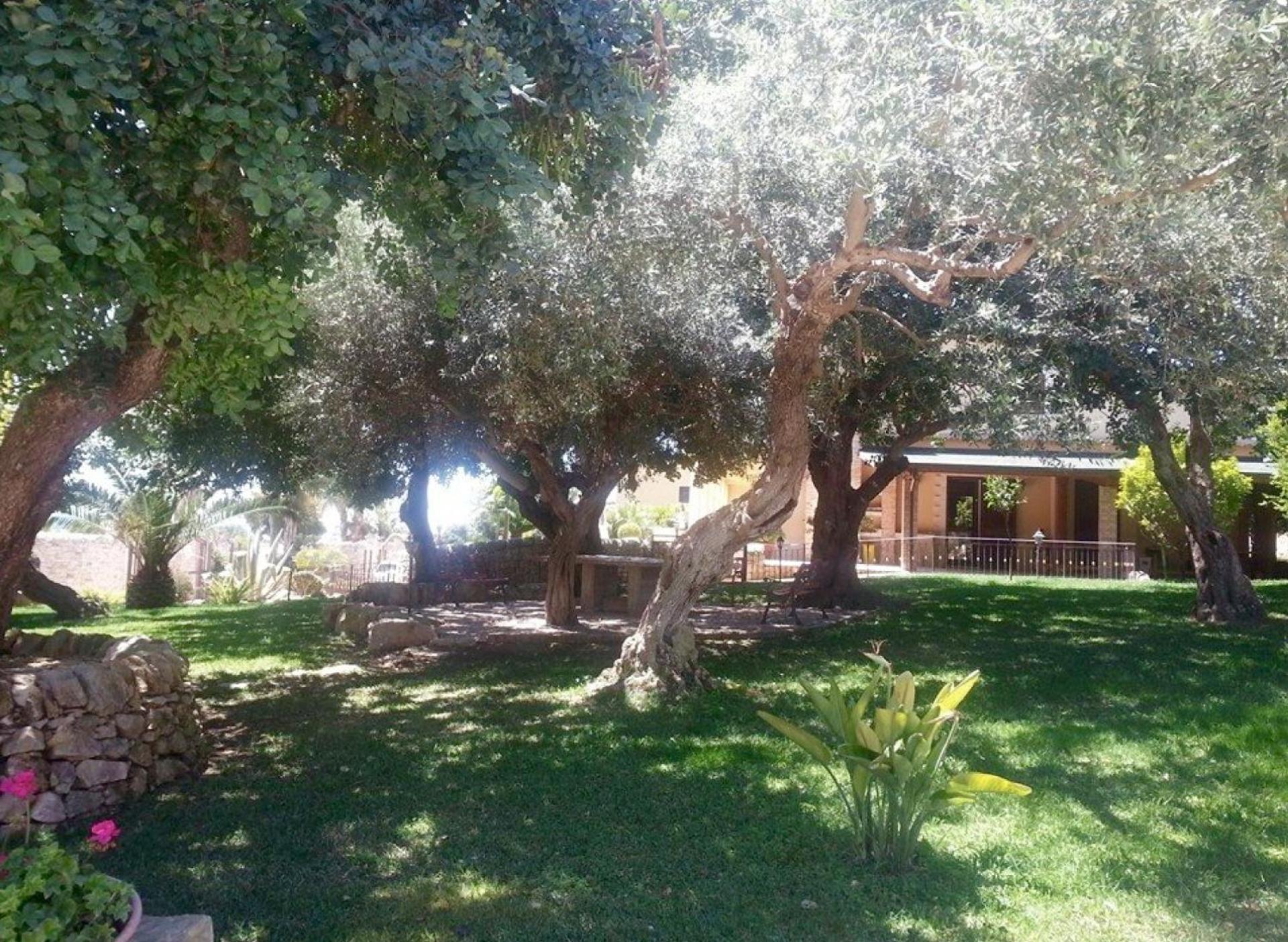 Photo 22