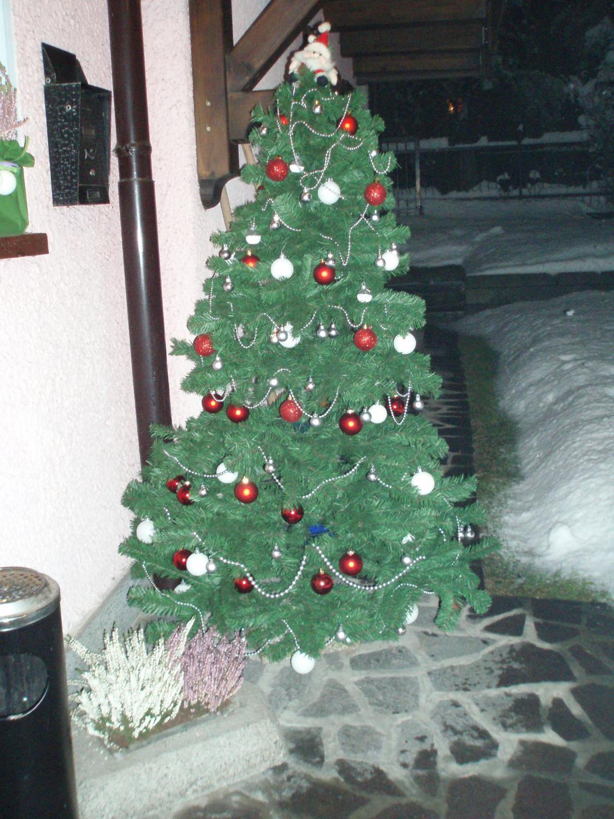 Photo 46