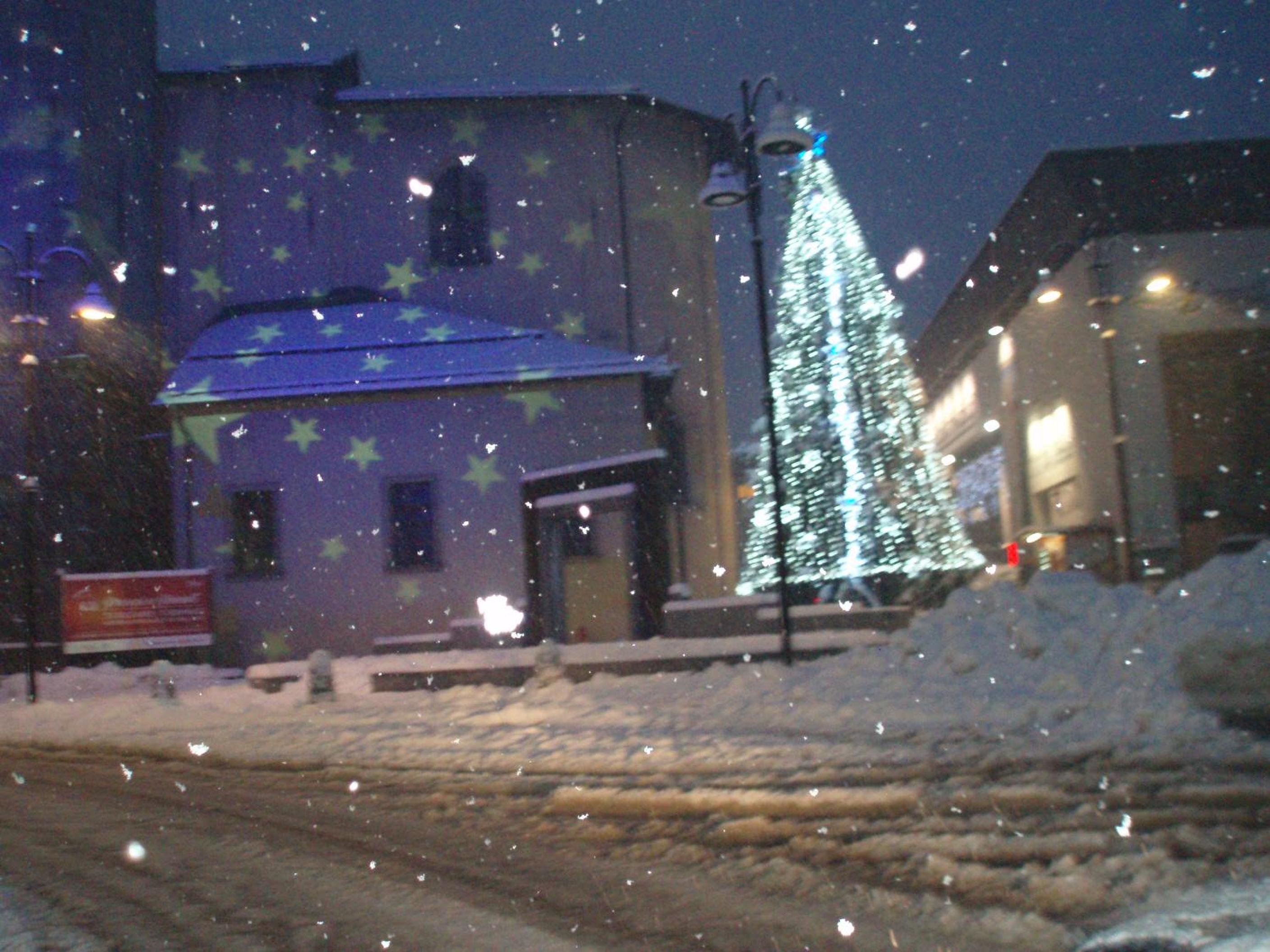 Photo 44