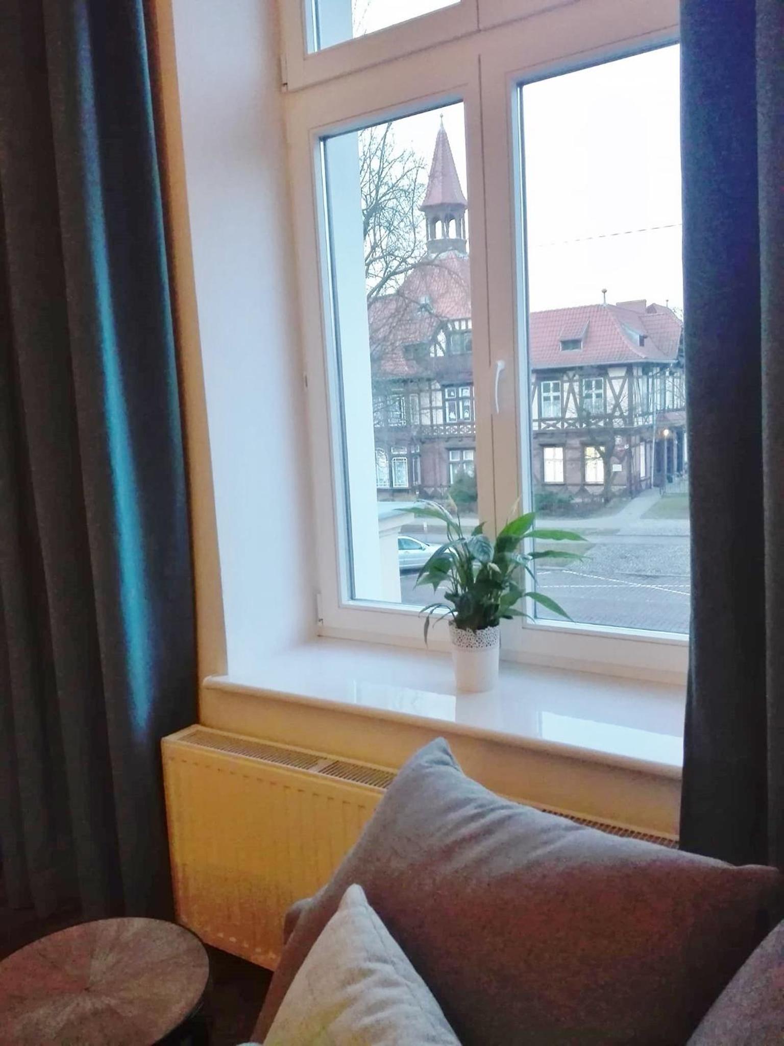 Starotoruński apartament view 3