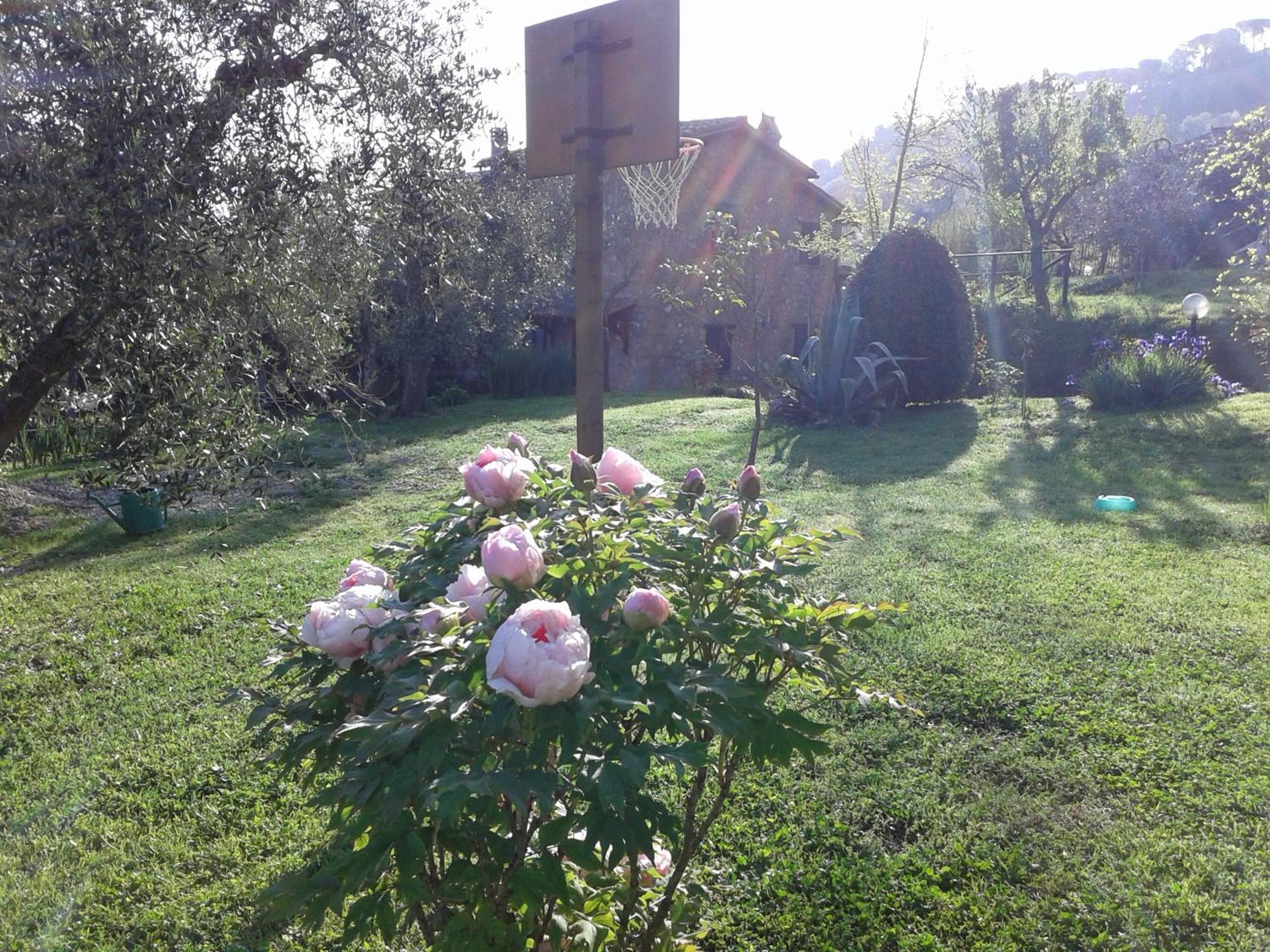 Photo 27