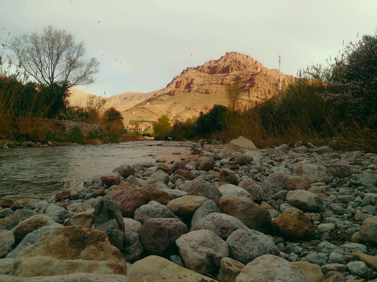 Les Jardins De Todgha gorges de todra tinghir