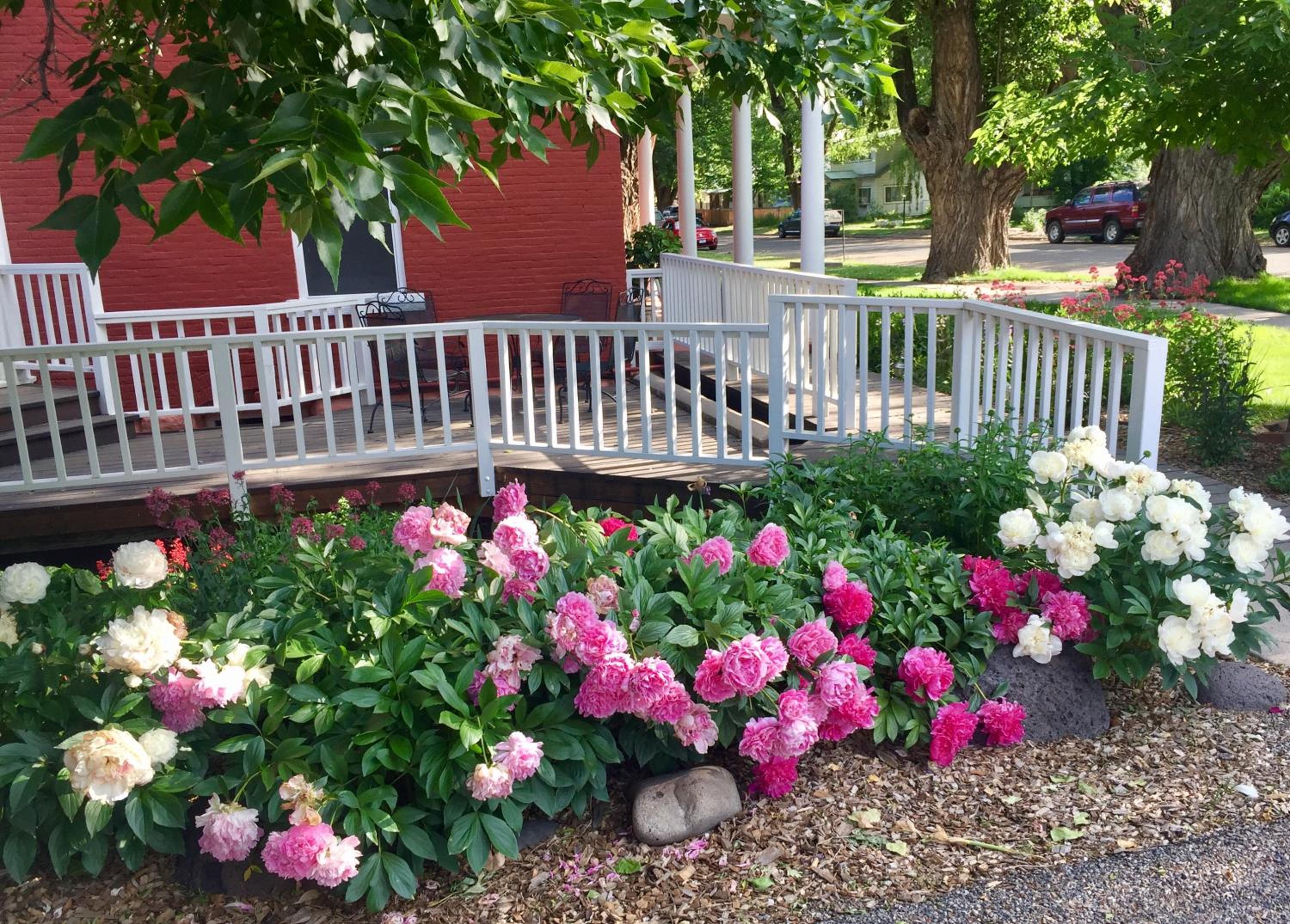 Bross Hotel B & B
