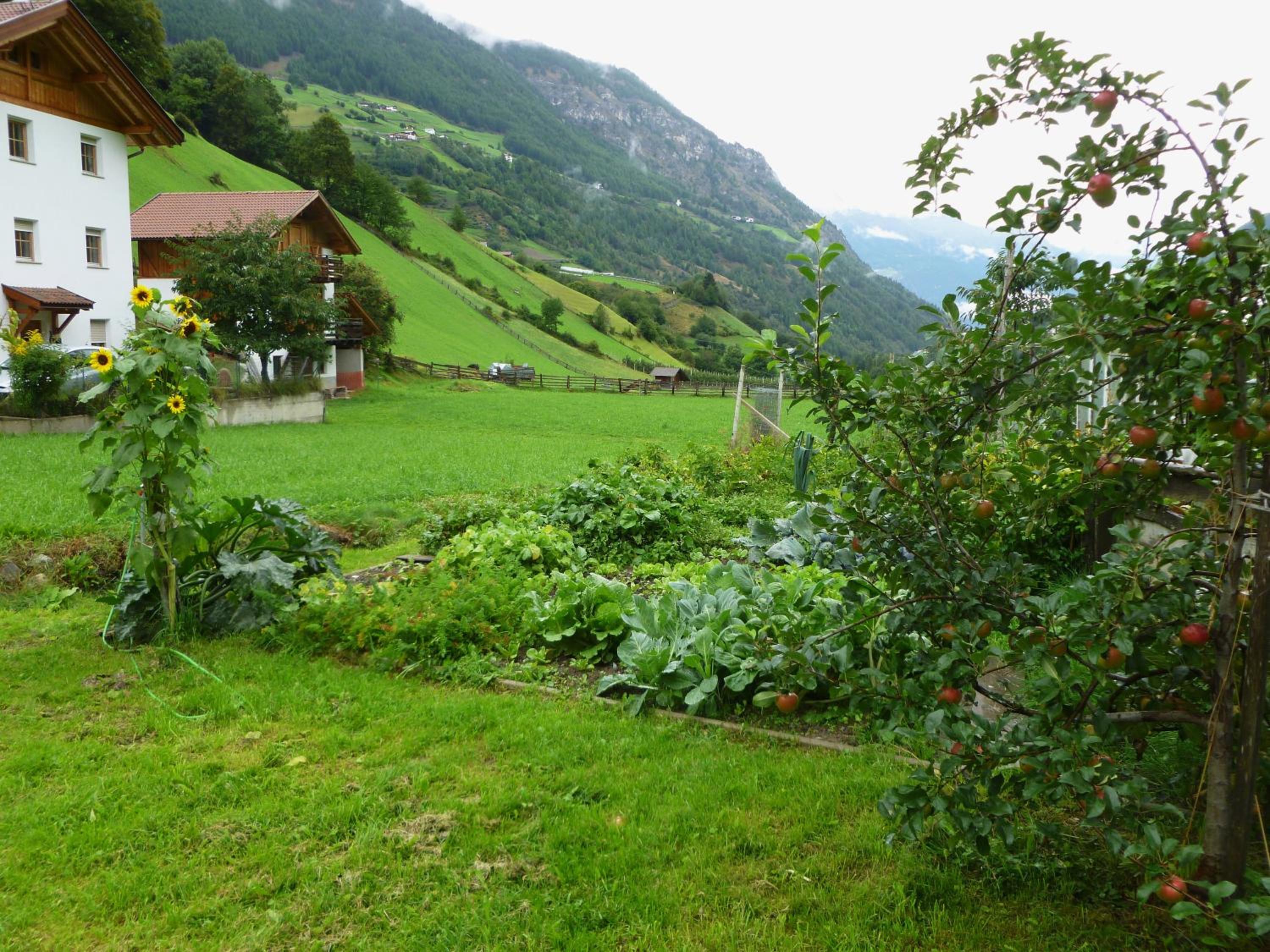 Photo 9