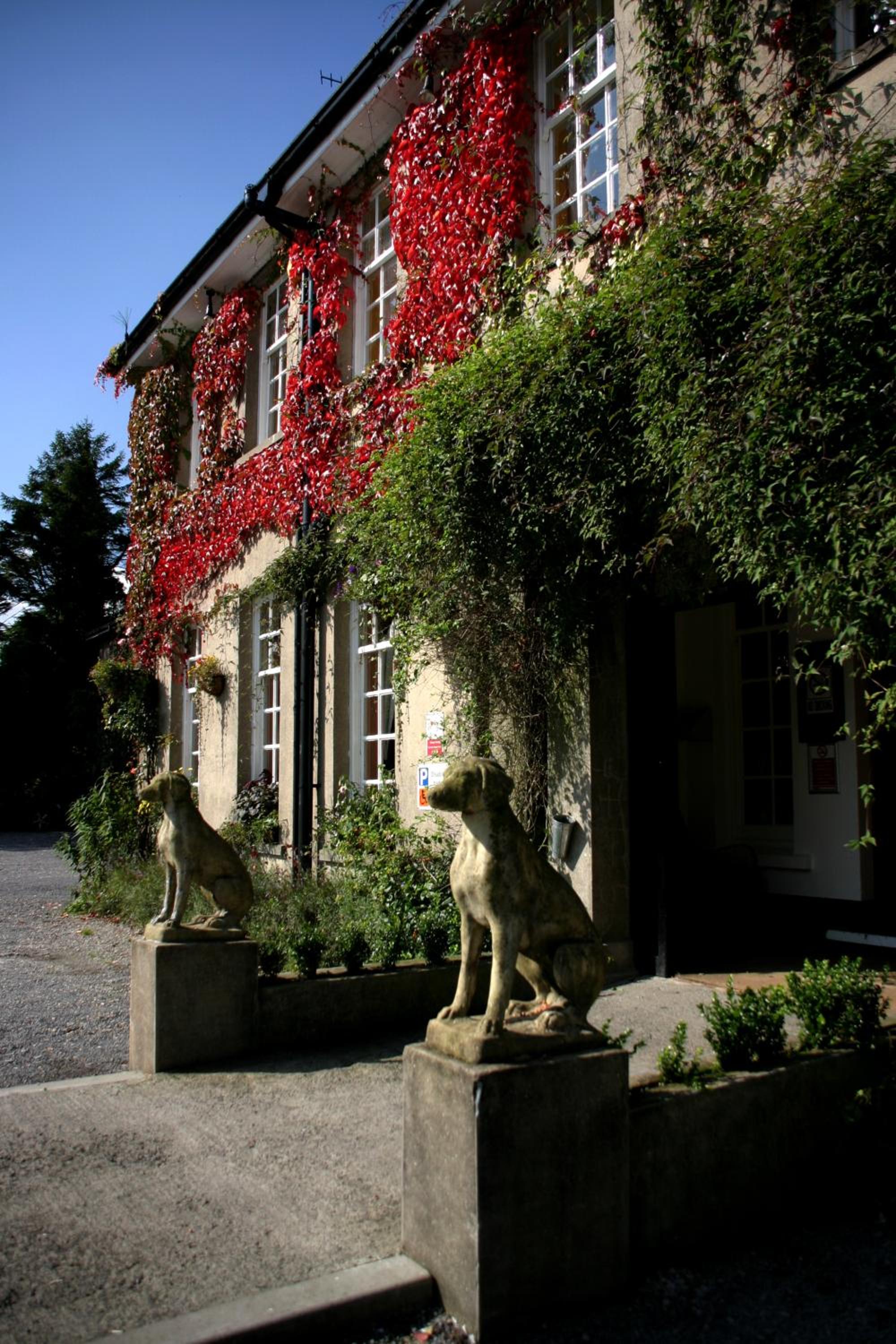 Hotel Ty Newydd Country Hotel