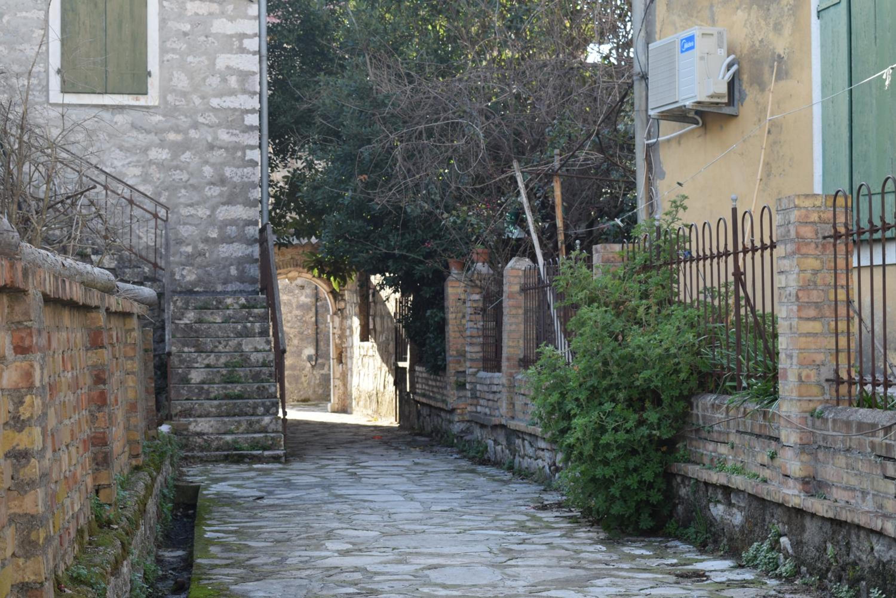 Photo 45