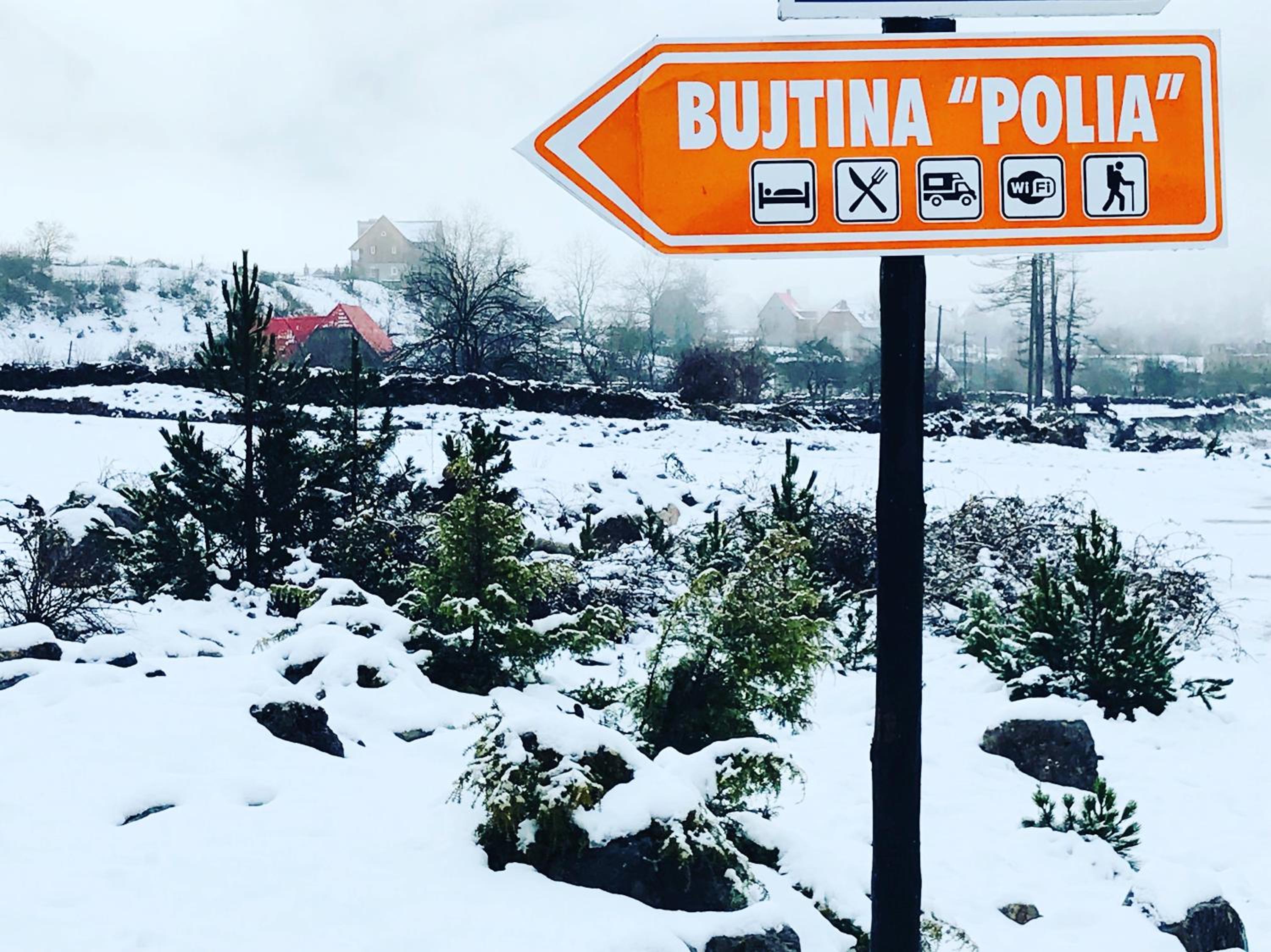 Bujtina Polia