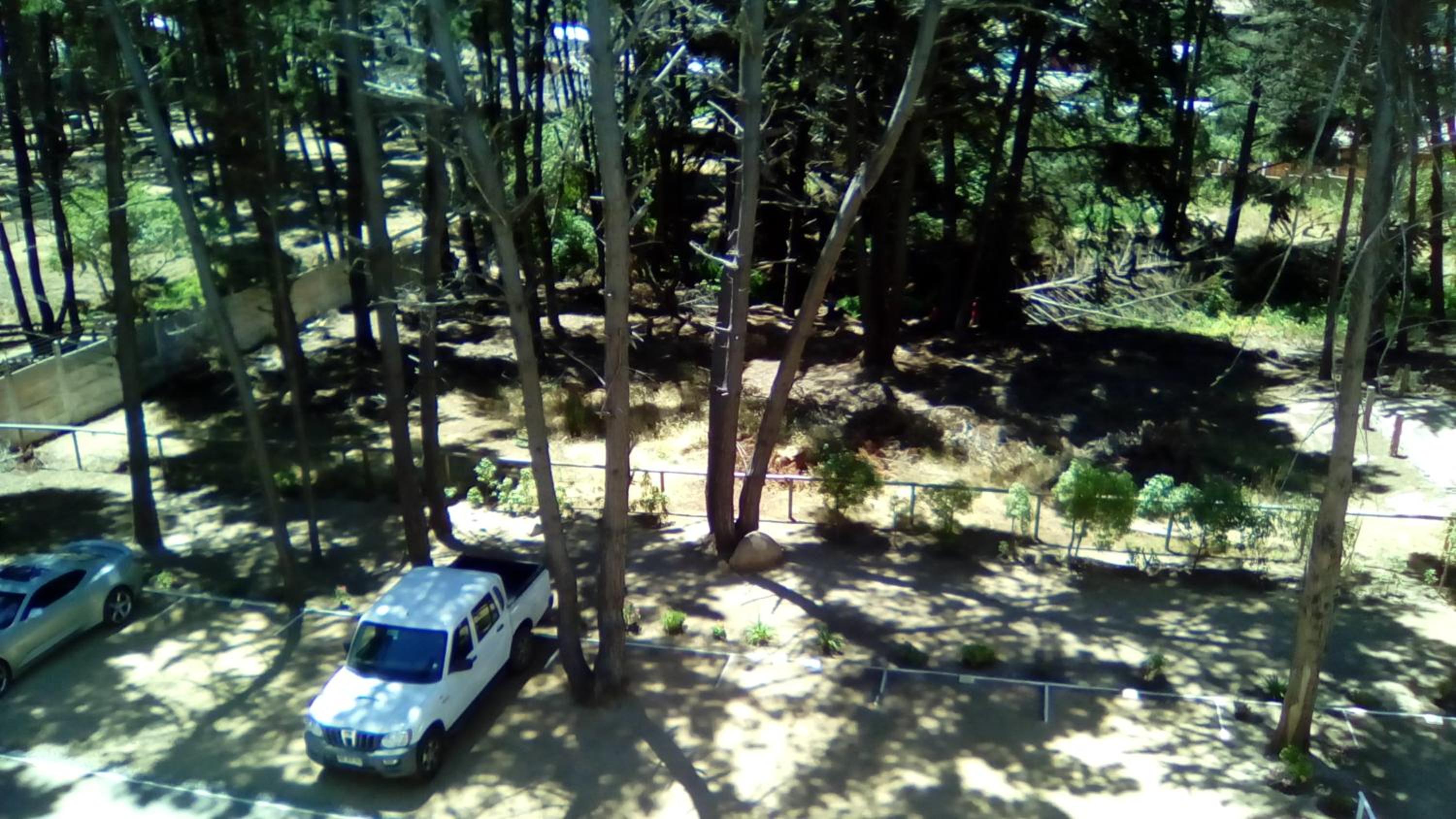 Photo 44