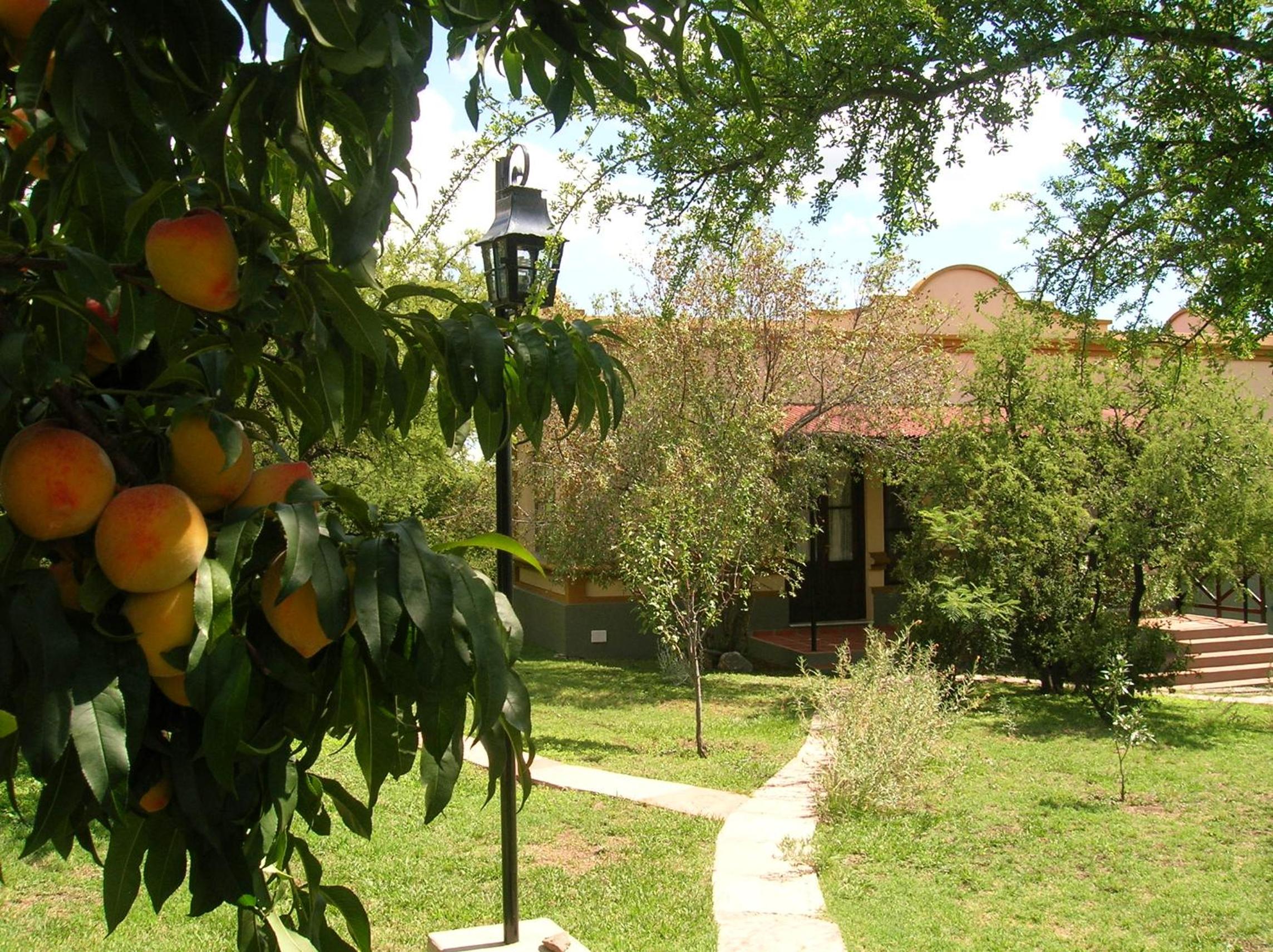 Hotel Posada Los Antiguos-Adults Only - Image 1