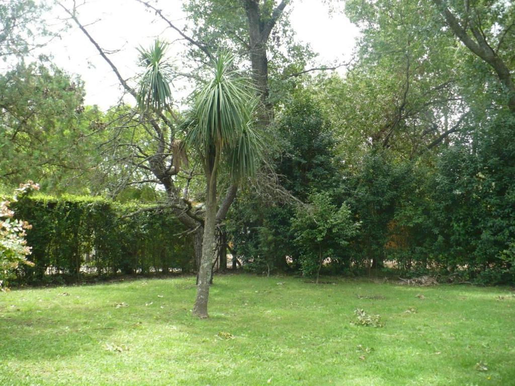 Casa quinta Chivilcoy