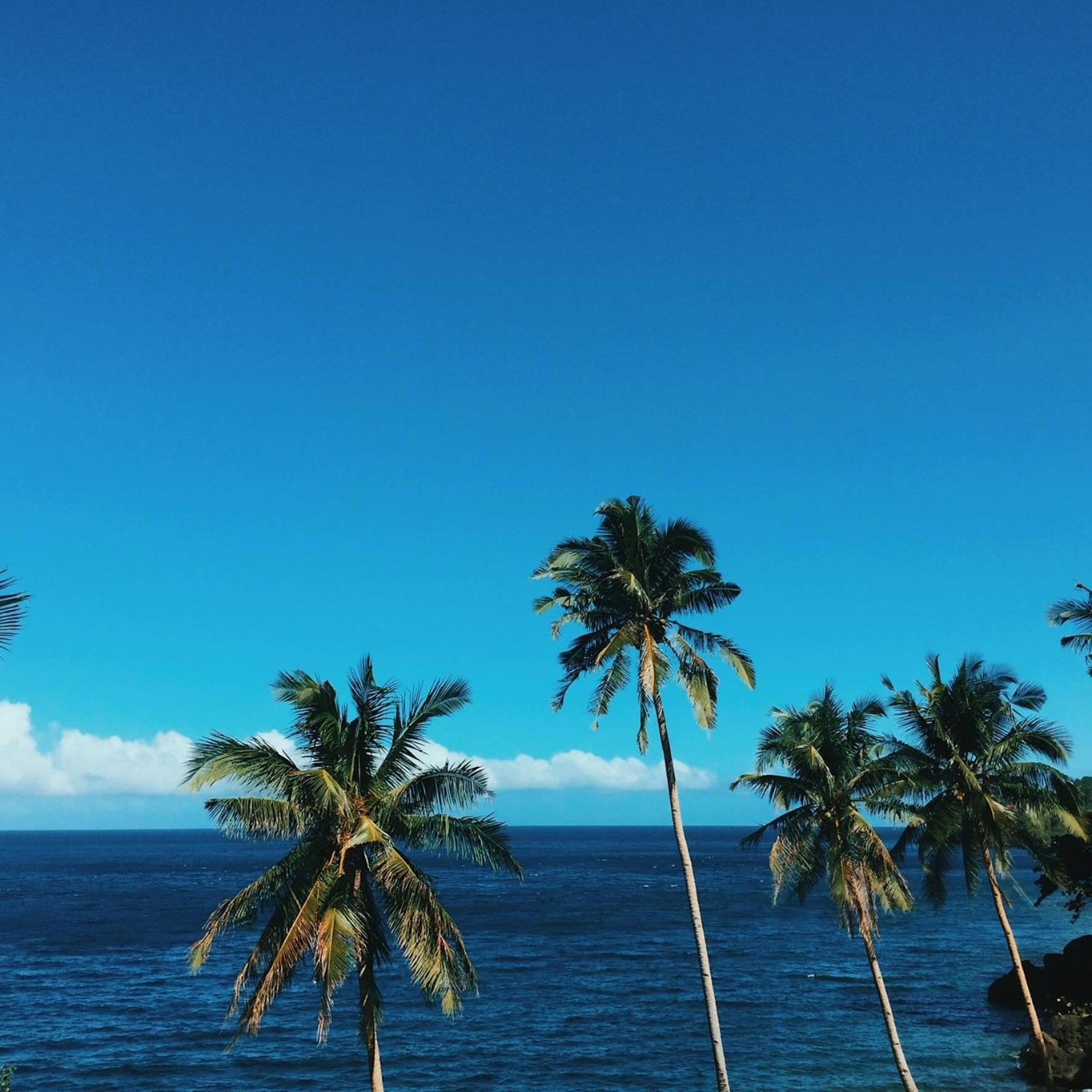 Bintana Sa Paraiso