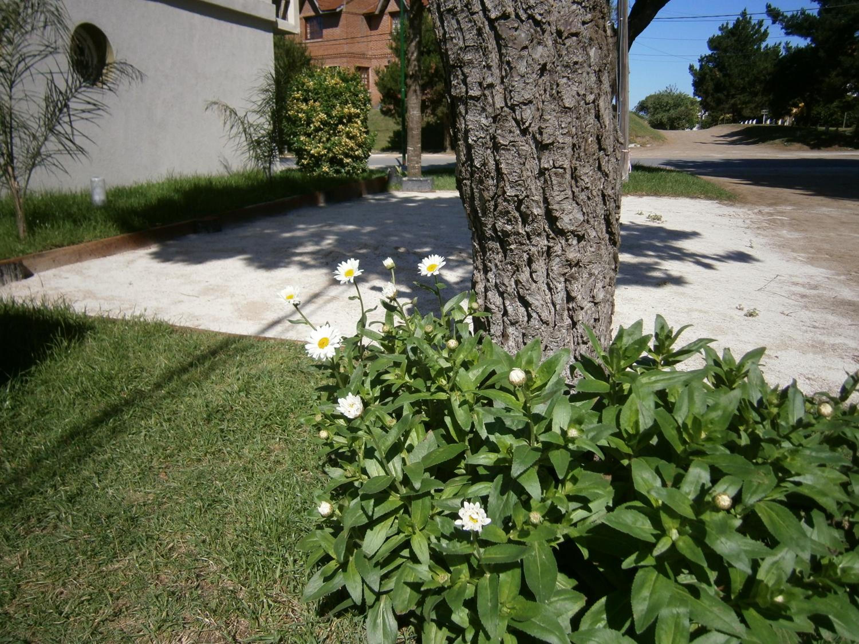 Lo de Antonio Departamentos