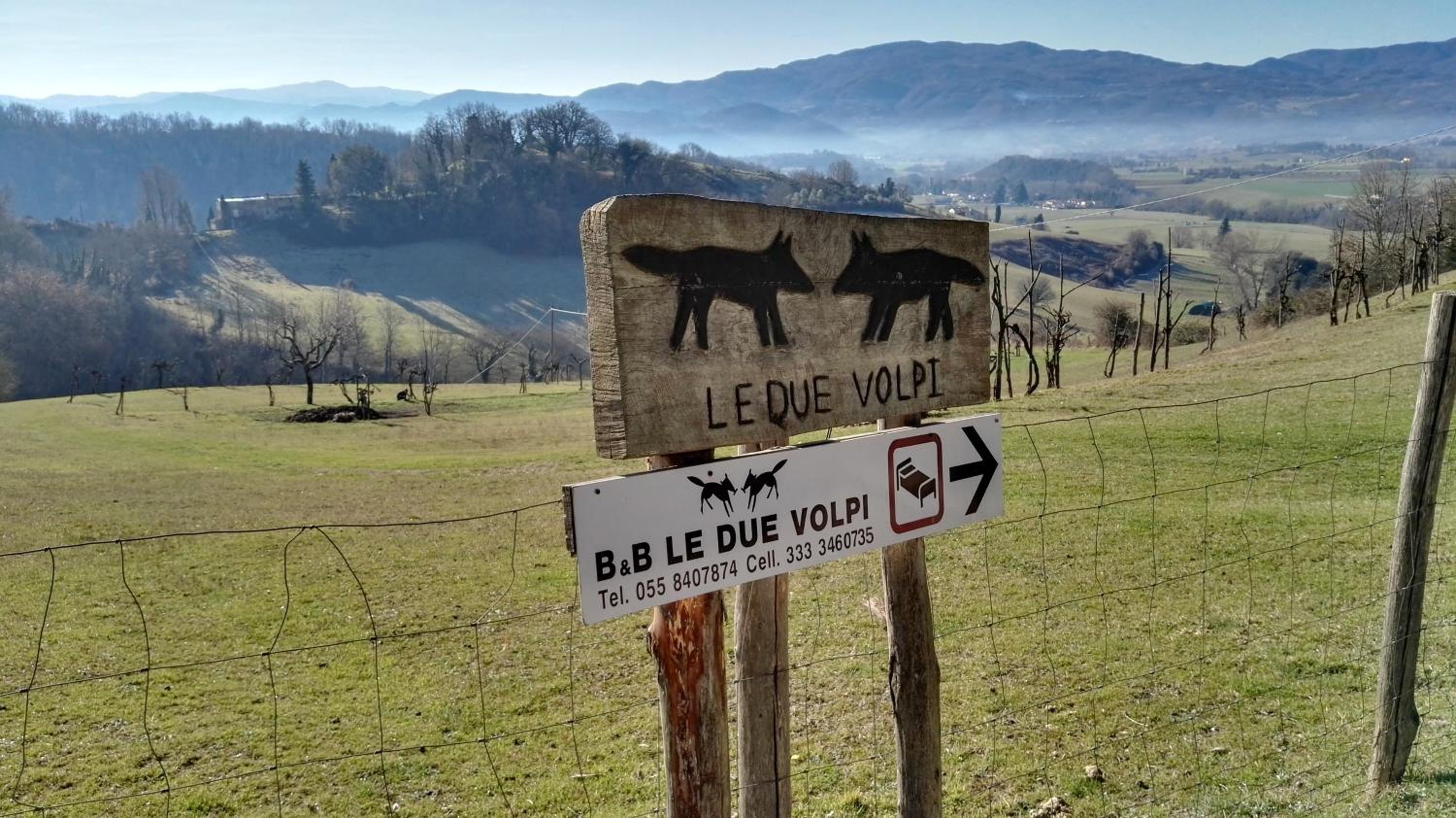 B&B Le Due Volpi — photo 4