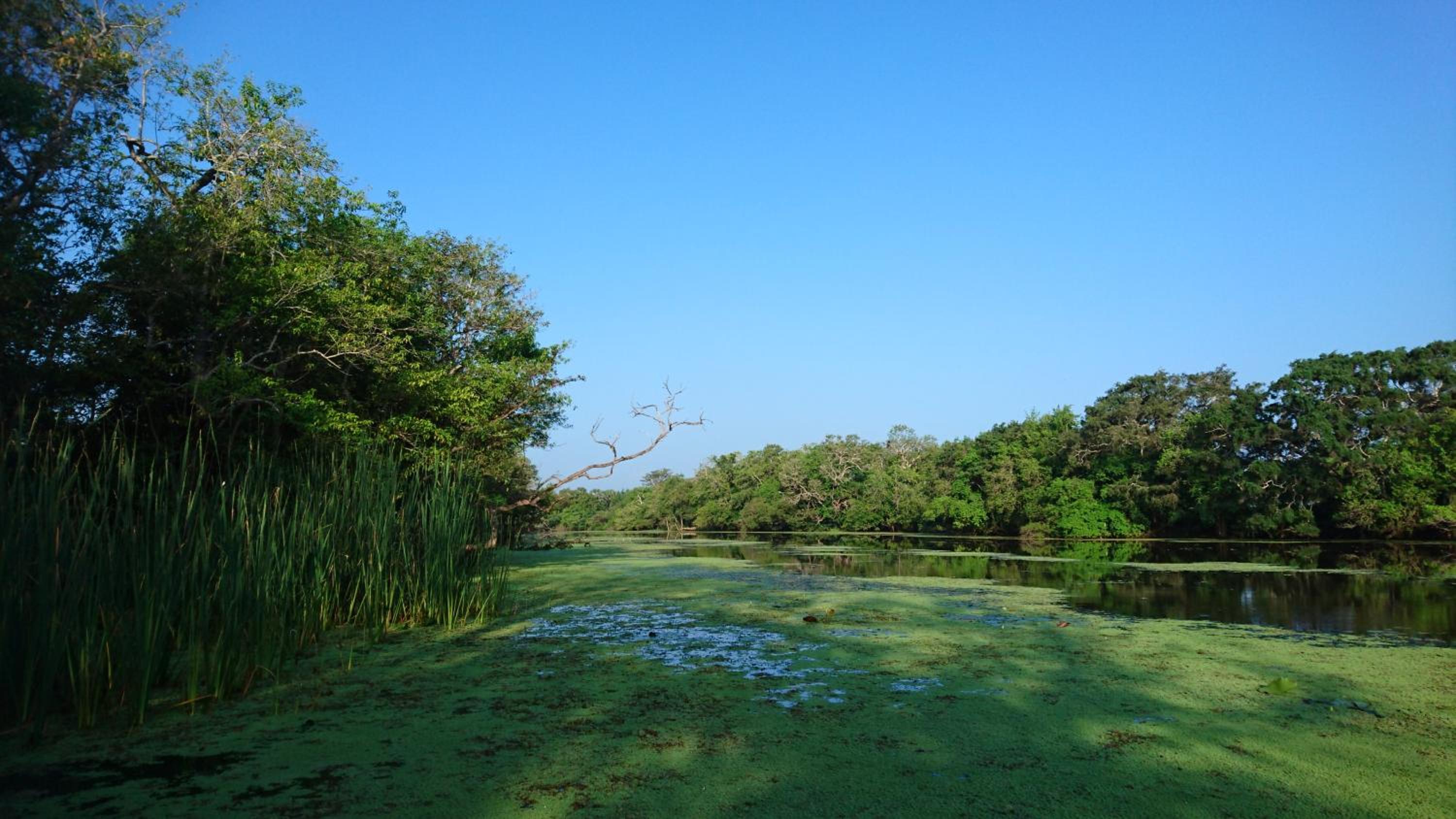 The Backwaters Lodge