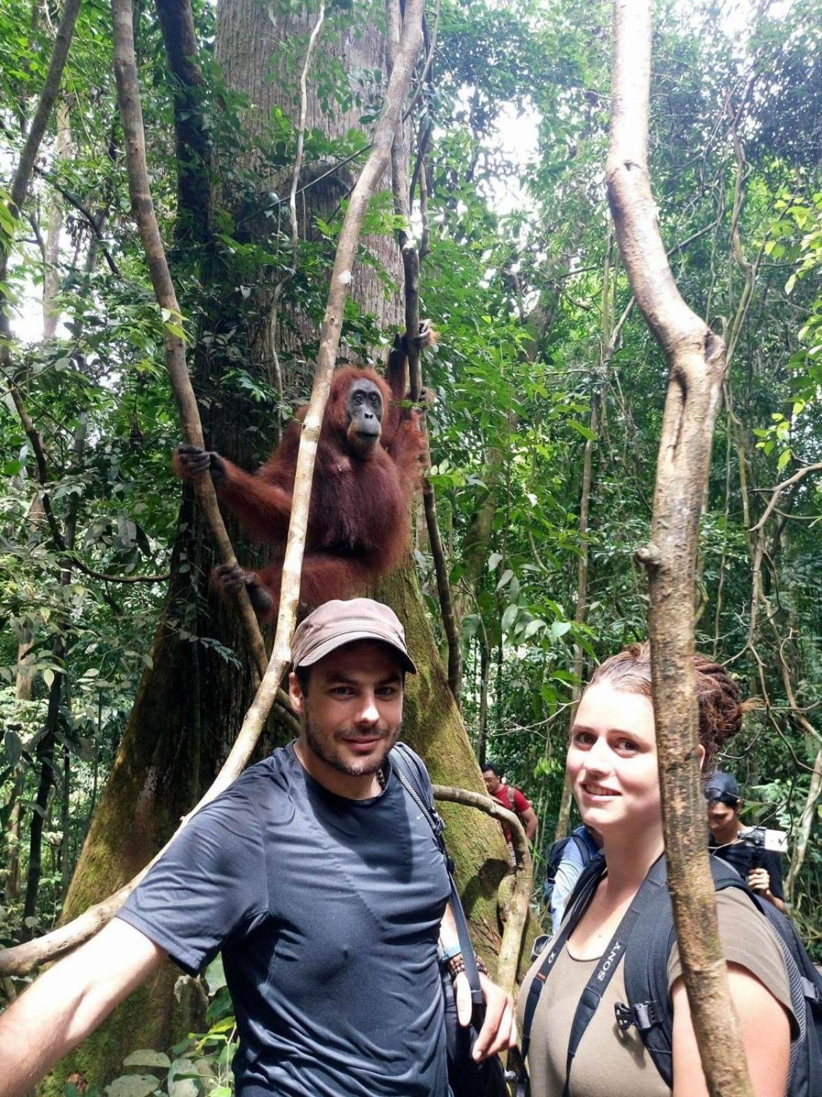 Ida Guest House & JUNGLE TREKKING view 2