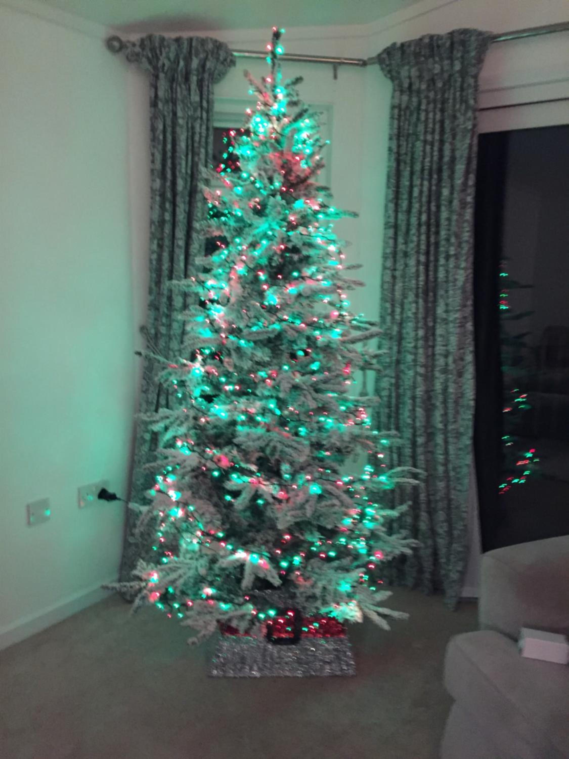 Photo 8