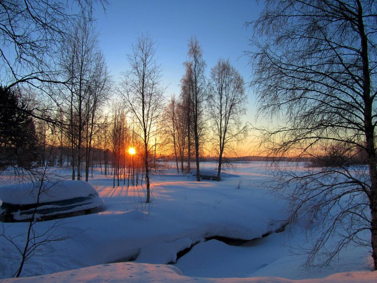 Photo 53