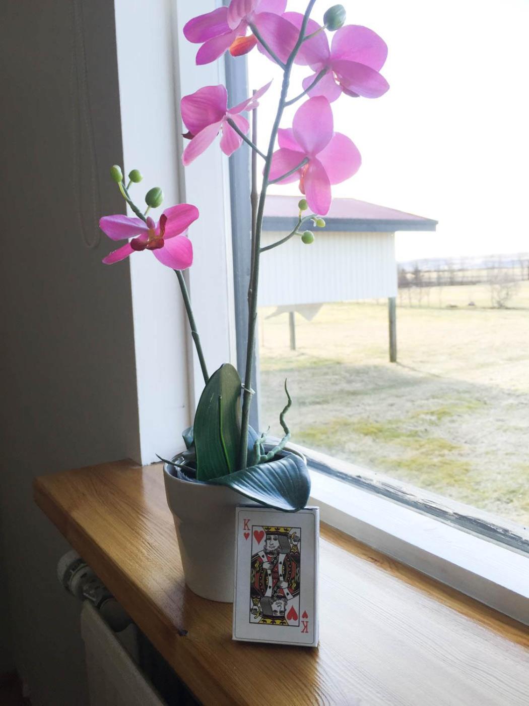 South Central Country-Apartment