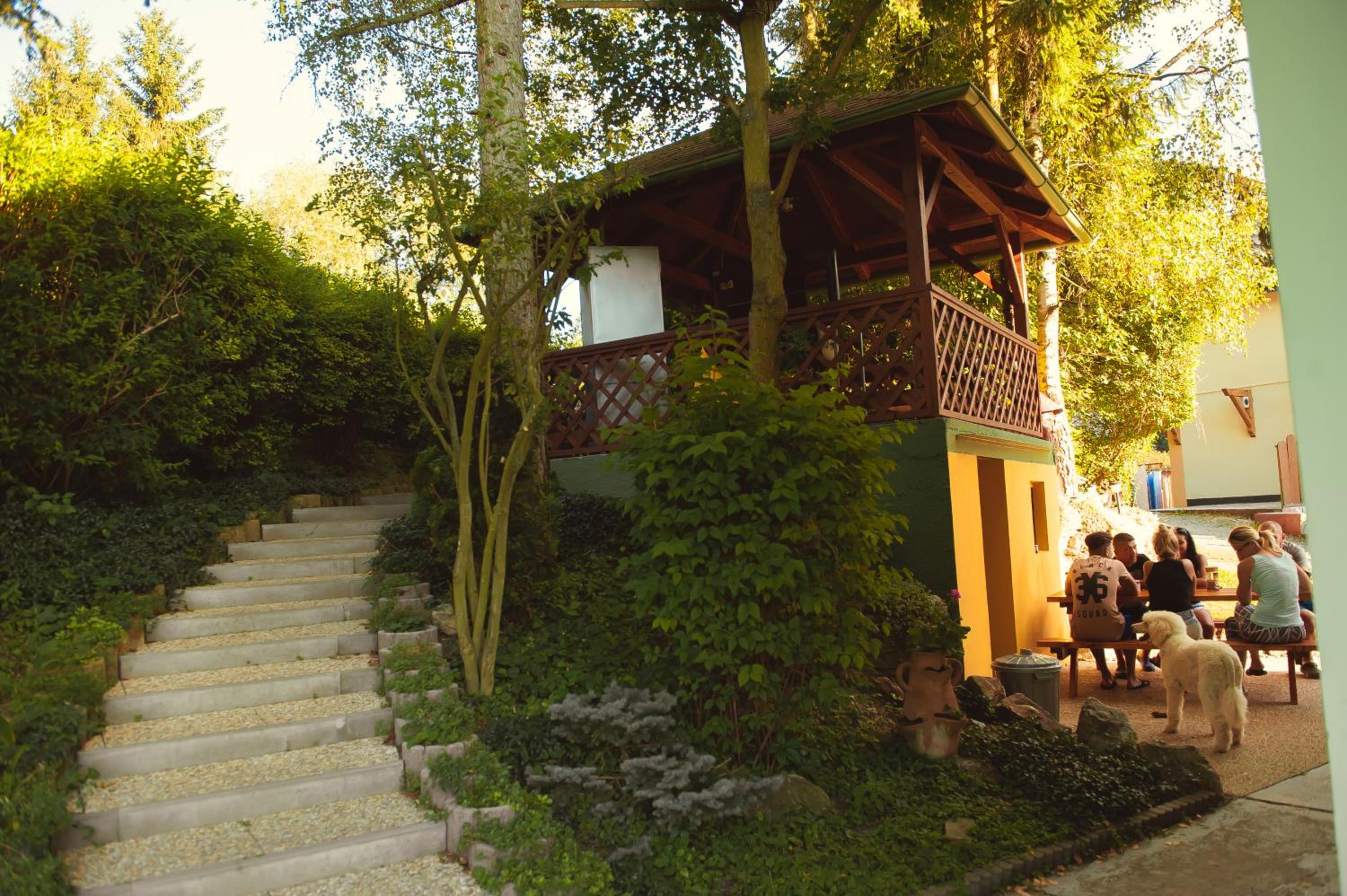 Photo 8