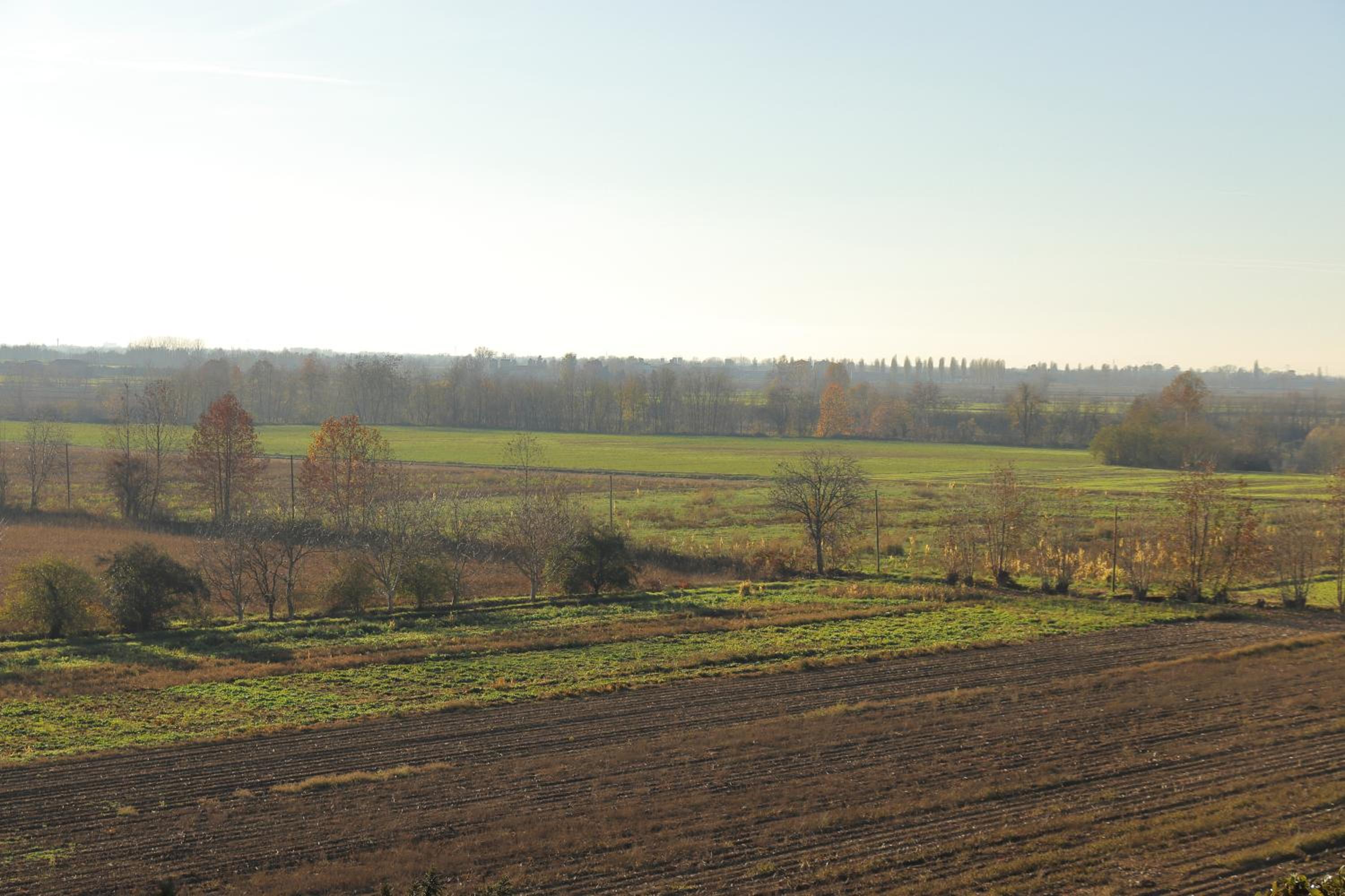 Le Magnolie Agriturismo