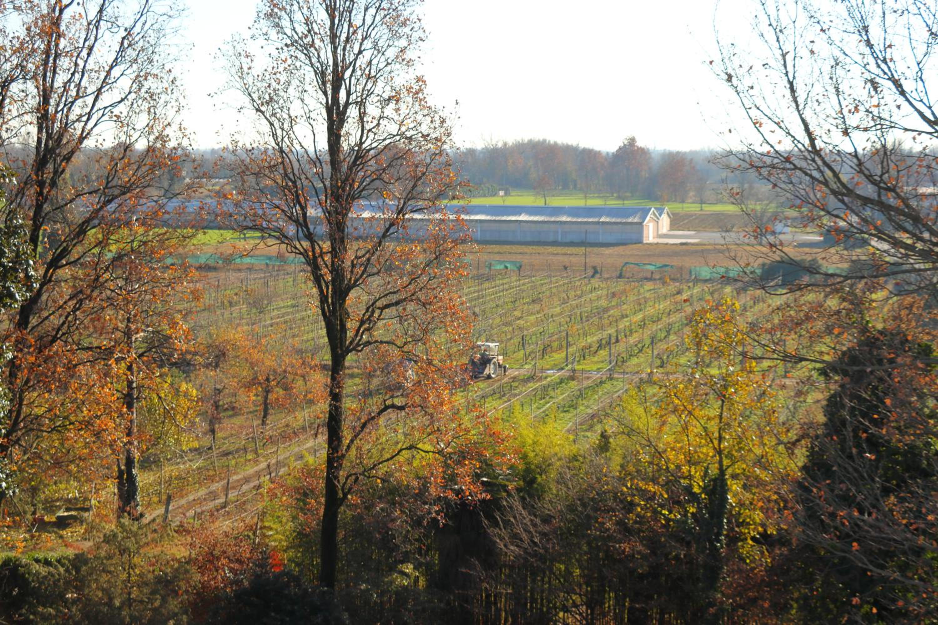 Le Magnolie Agriturismo