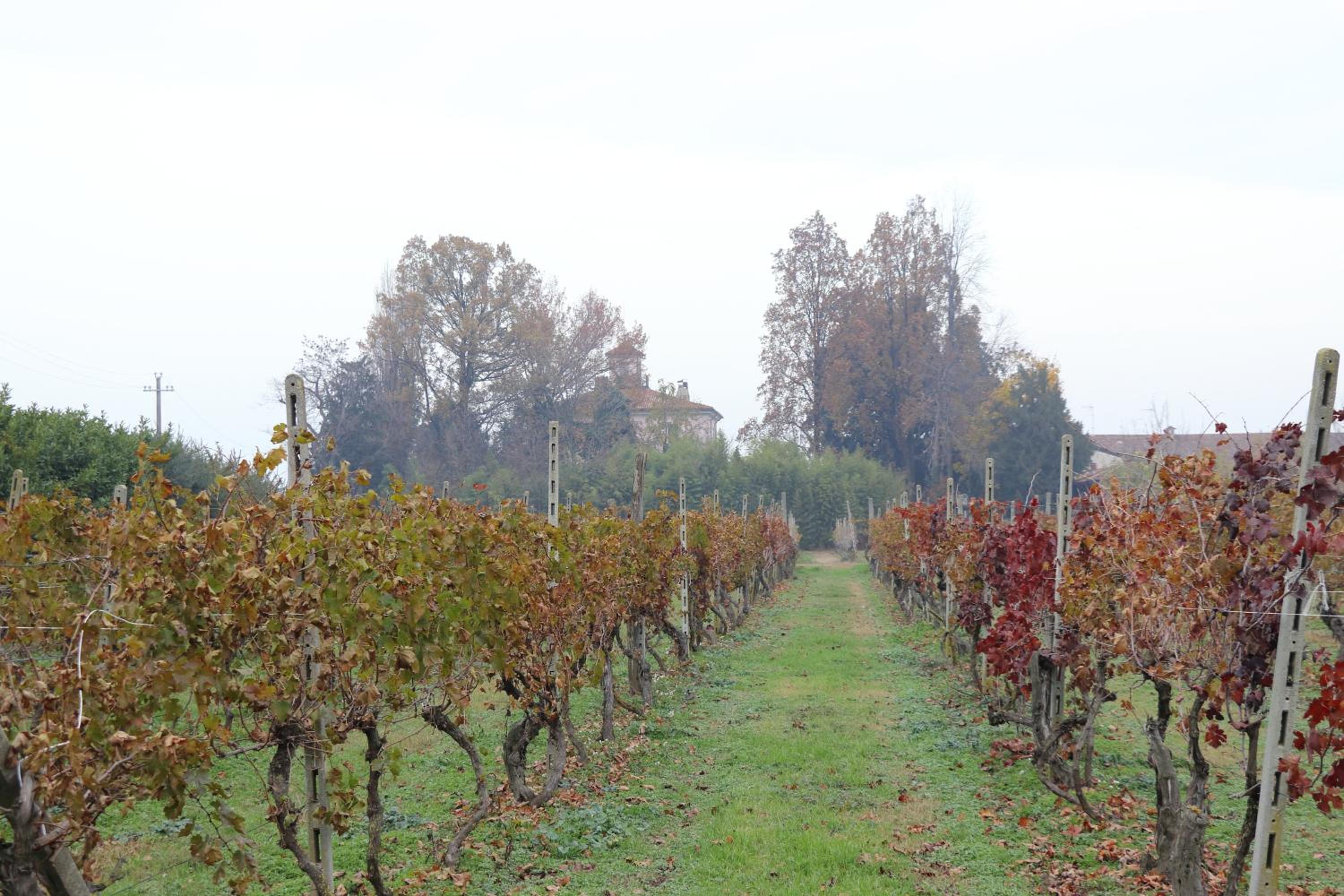 Le Magnolie Agriturismo