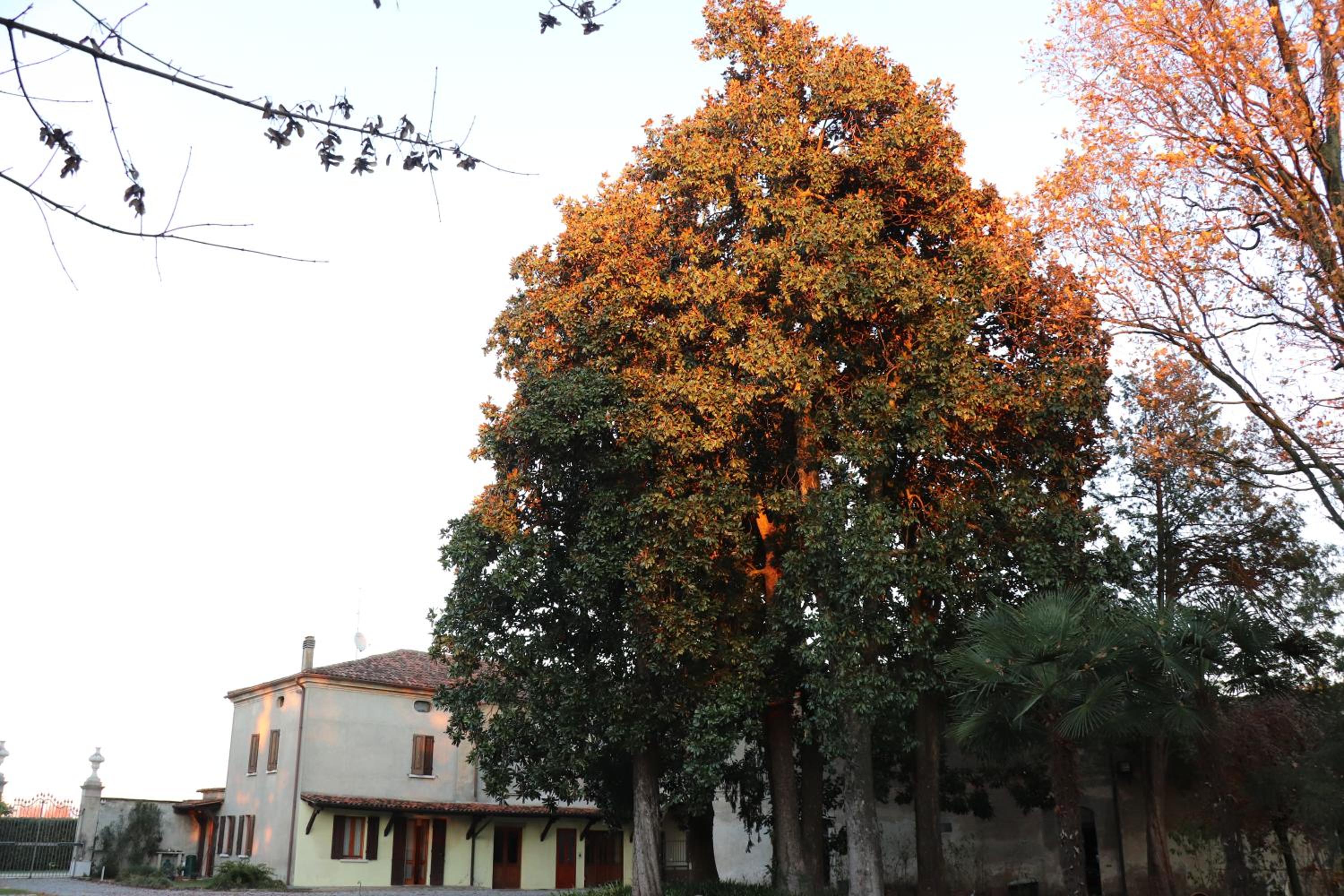 Le Magnolie Agriturismo