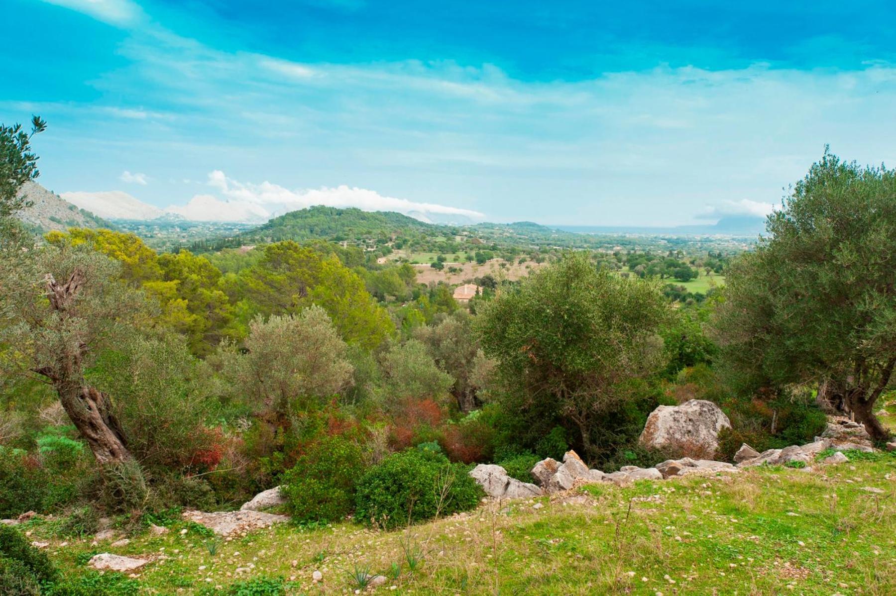Can Guillo view 4