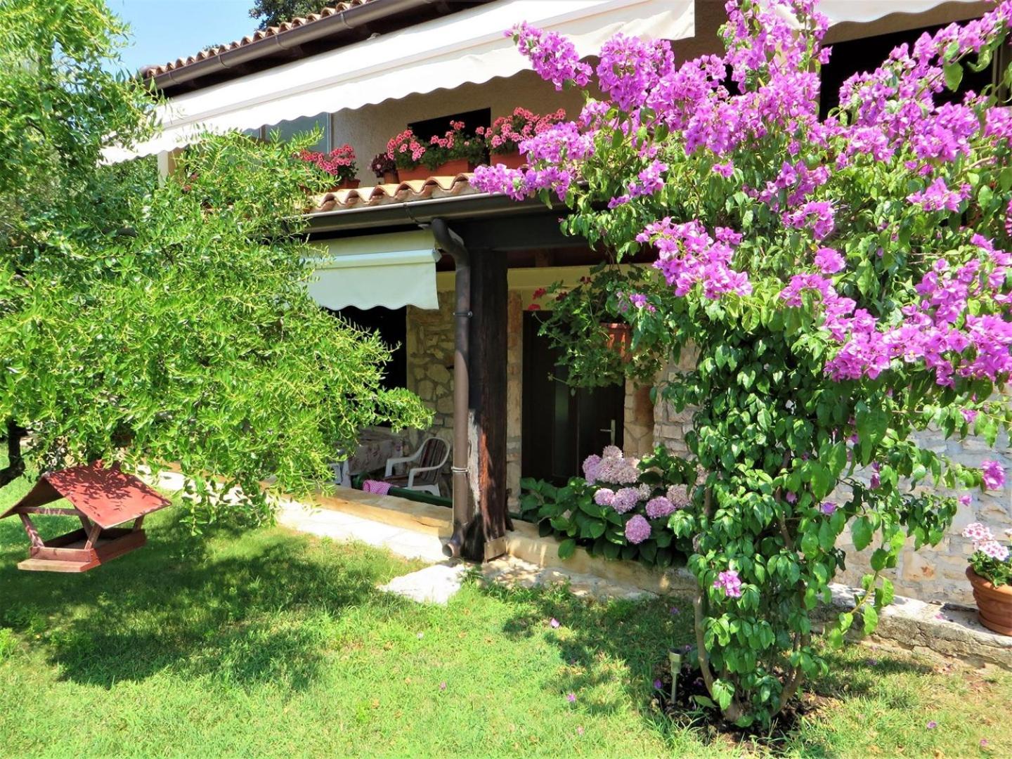 Studio Apartment Paljar view 3